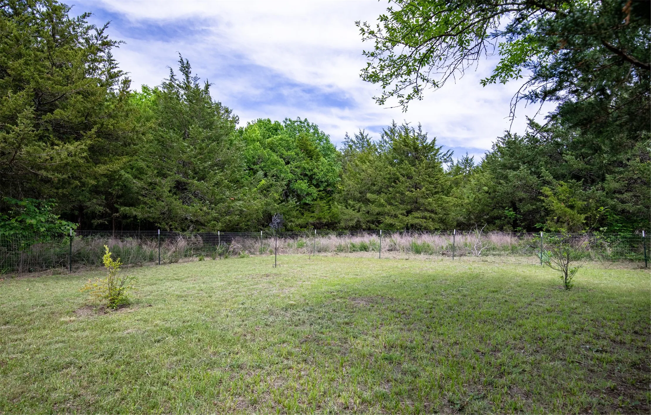 Fruit trees on land.