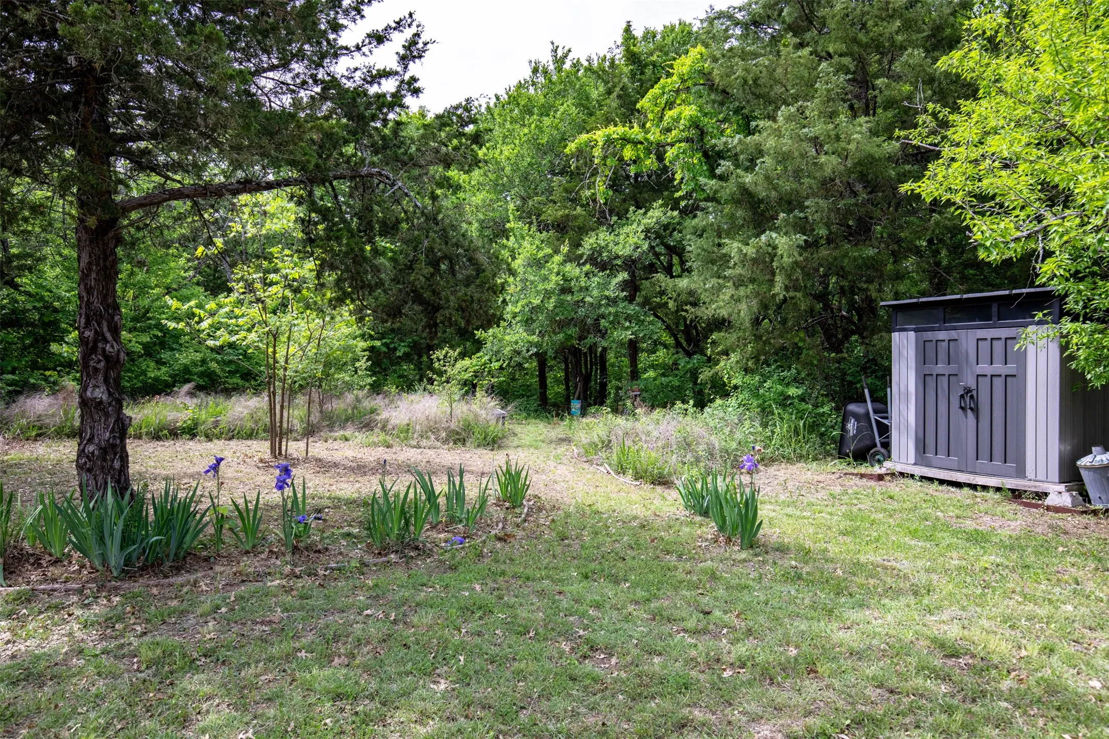 Unimproved Land For Sale in Collin County , TBD County Rd 663, Farmersville, Texas 75442, 0, 0, Garage spaces, 0 Sqft, built in 0, mls#21239923, Real Estate Agent in Farmersville, Homes For Sale in Collin county, Homes For Sale in Farmersville, Realtor in Farmersville Texas, Real Estate Brokerage Independent Realty Texas, Luminita Cordes Realtor