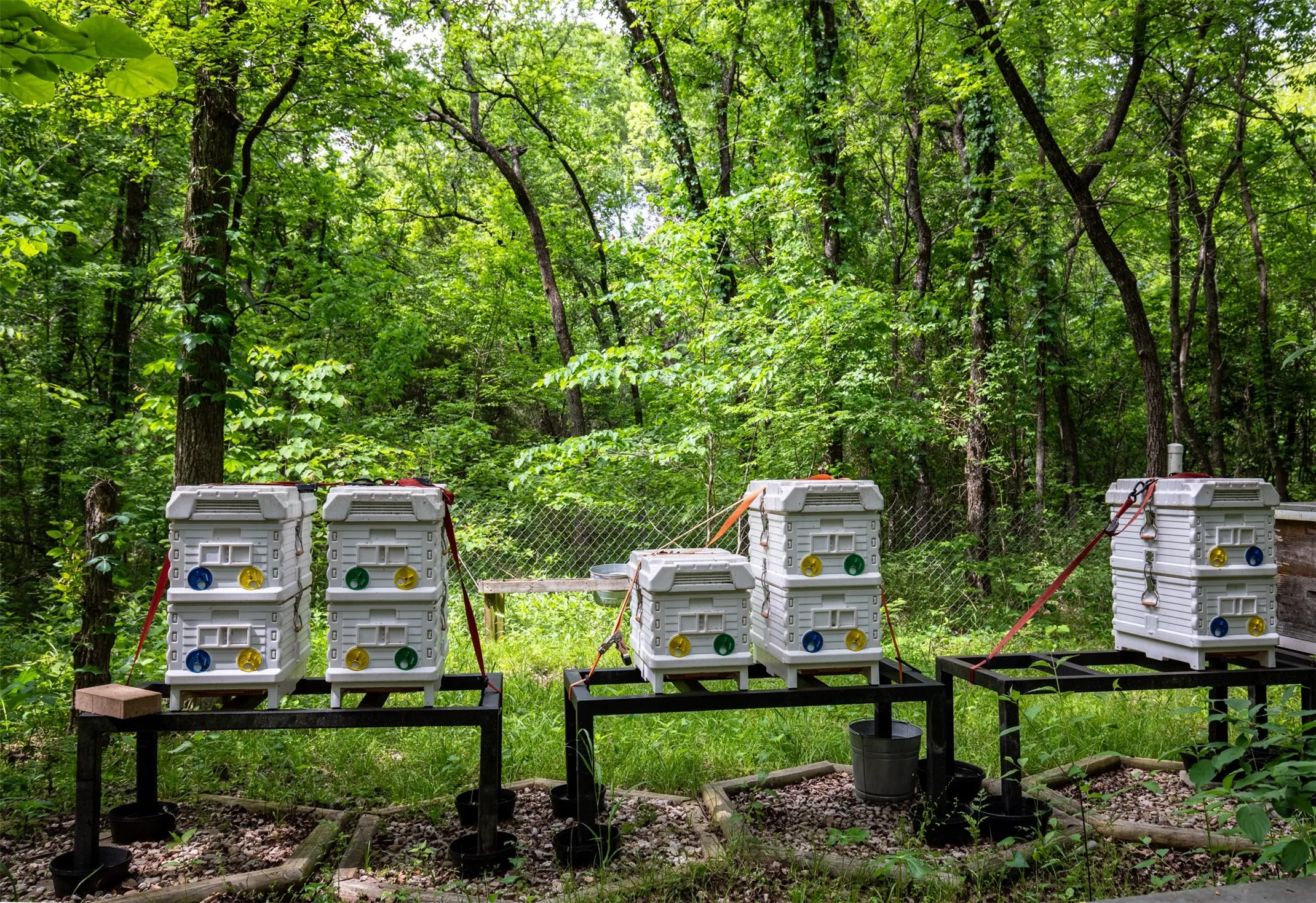 Bee hives currently in place helping support the property’s agricultural exemption (can be purchased at an additional cost)