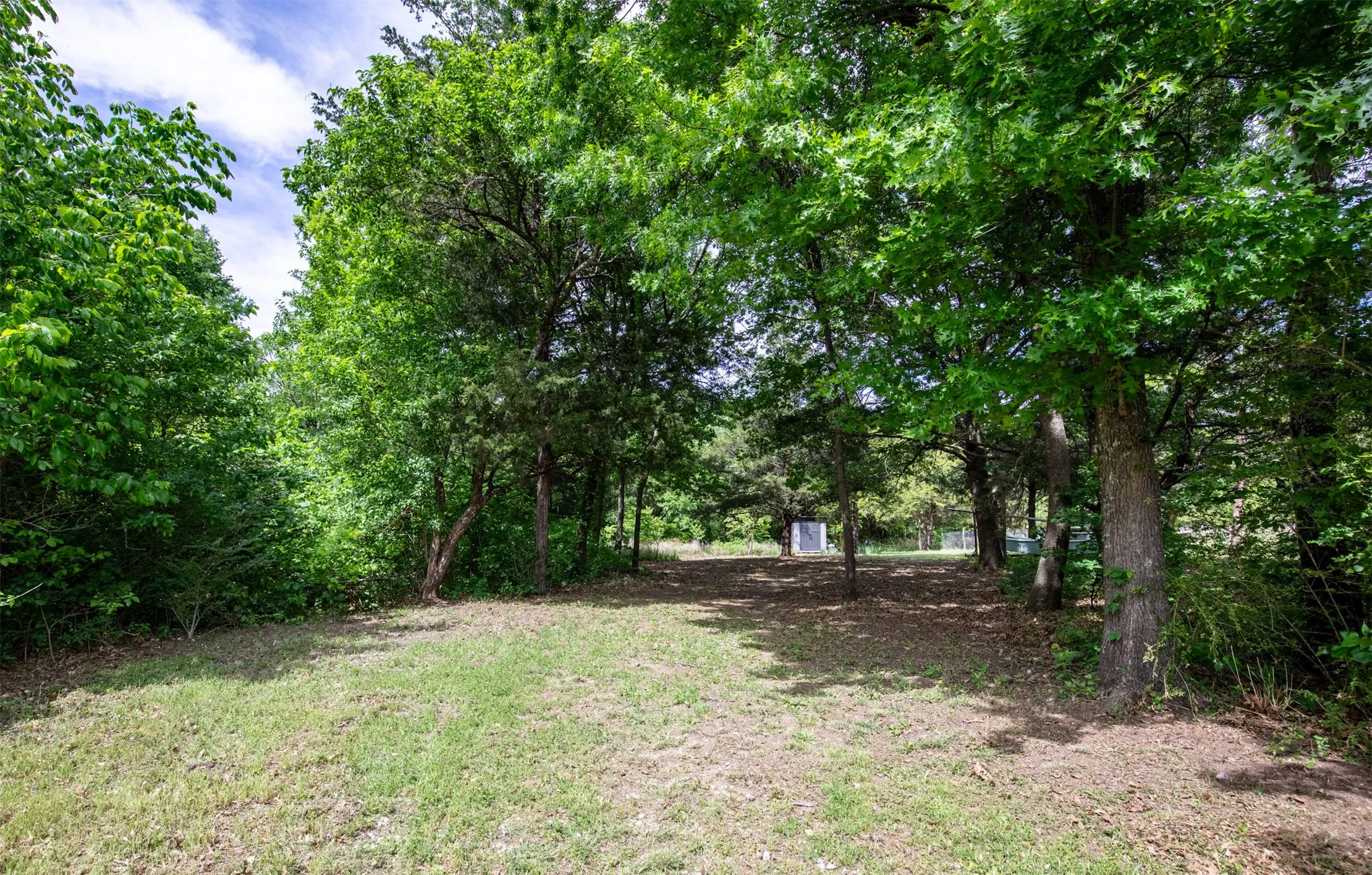 Wooded and grassy area of property.