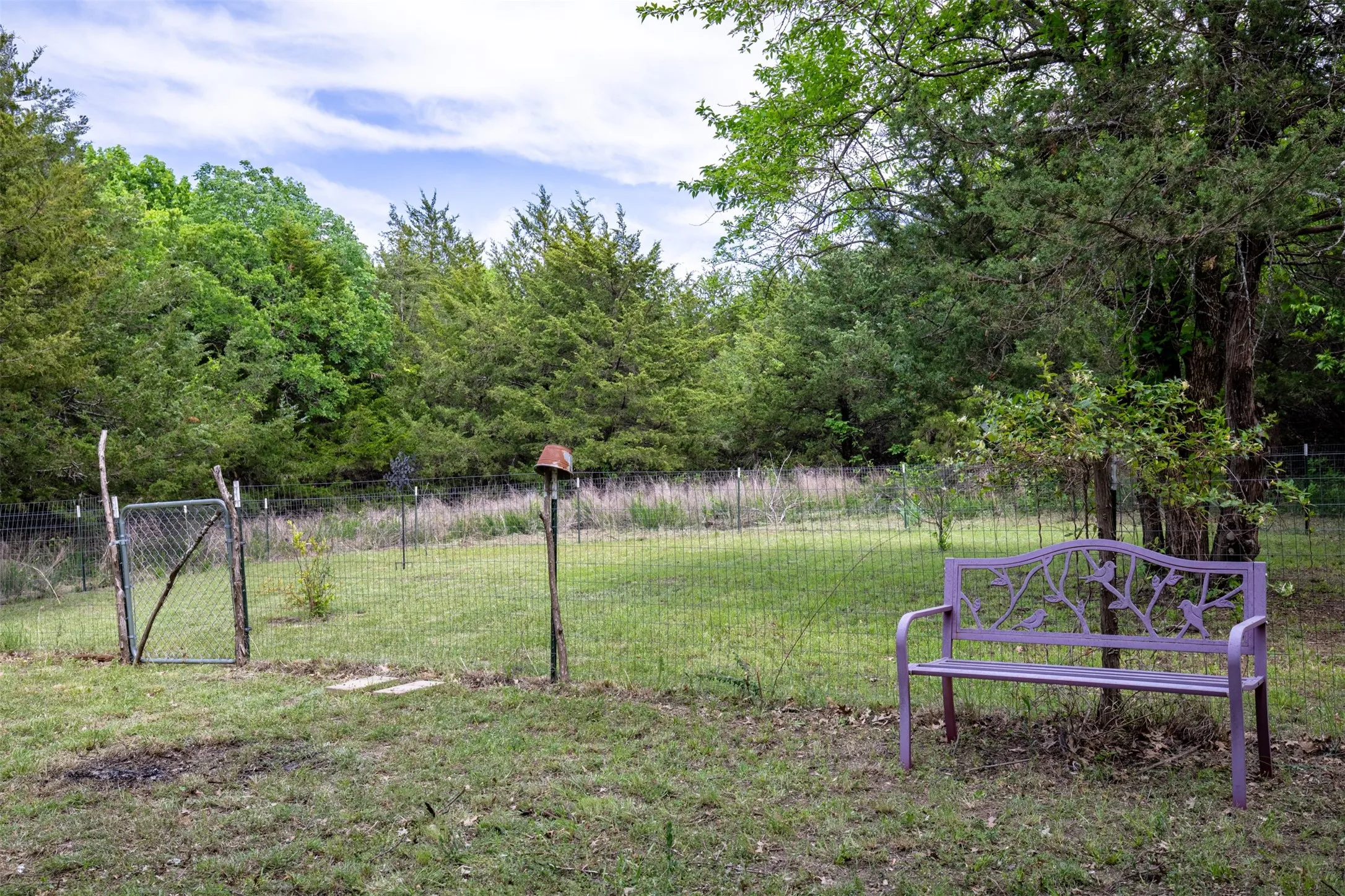 Fenced area with fruit trees.