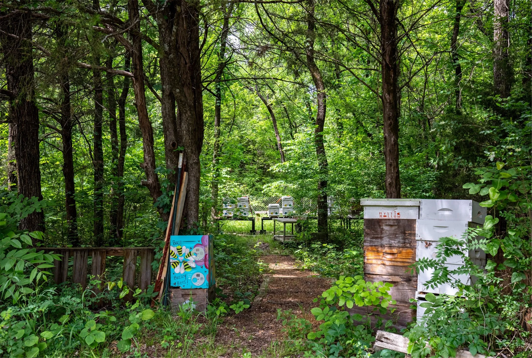Bee hives currently in place helping support the property’s agricultural exemption (bees and beekeeping equipment may be purchased for an additional cost)