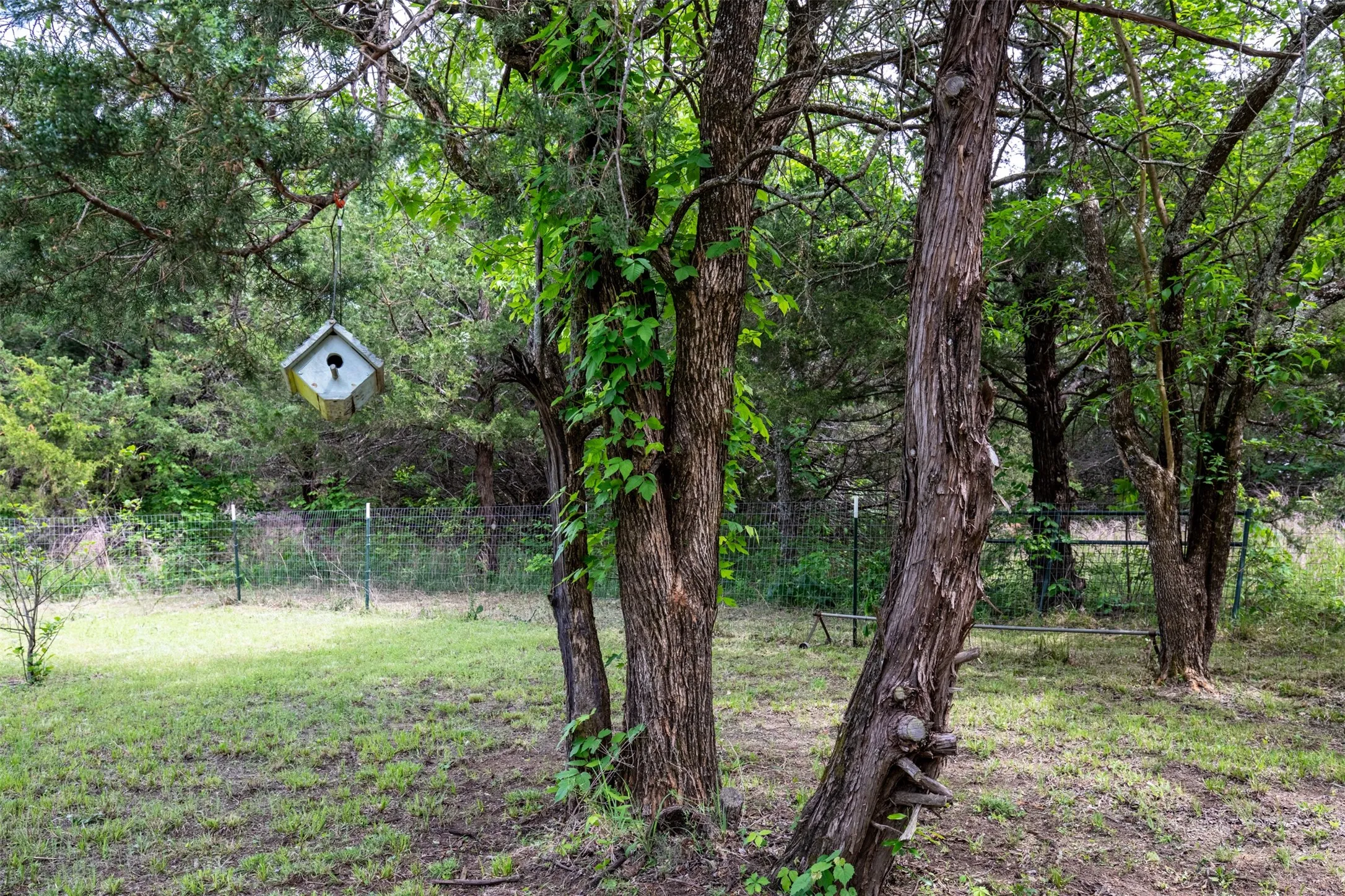 Unimproved Land For Sale in Collin County , TBD County Rd 663, Farmersville, Texas 75442, 0, 0, Garage spaces, 0 Sqft, built in 0, mls#21239923, Real Estate Agent in Farmersville, Homes For Sale in Collin county, Homes For Sale in Farmersville, Realtor in Farmersville Texas, Real Estate Brokerage Independent Realty Texas, Luminita Cordes Realtor