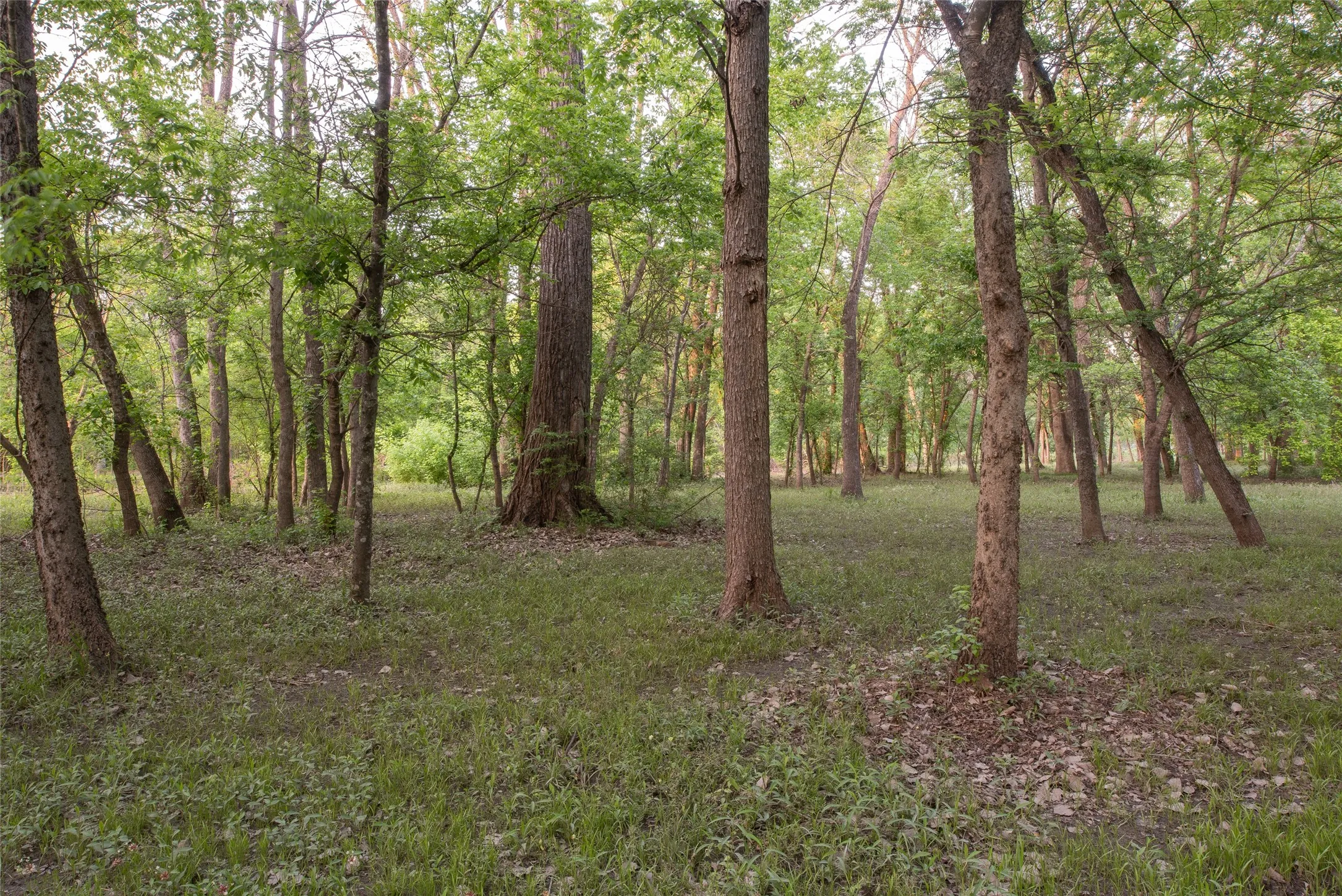 Single Family Residence For Sale in Collin County , 1451 Meandro Ria Lane, Fairview, Texas 75069, 3 Bedroom, 3 Bathroom, 2 Garage spaces, 2,890 Sqft, built in 1981, Preowned, mls#21233772, Real Estate Agent in Fairview, Homes For Sale in Collin county, Homes For Sale in Fairview, Realtor in Fairview Texas, Real Estate Brokerage Independent Realty Texas, Luminita Cordes Realtor