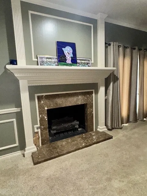 Details with a premium fireplace, crown molding, and carpet flooring