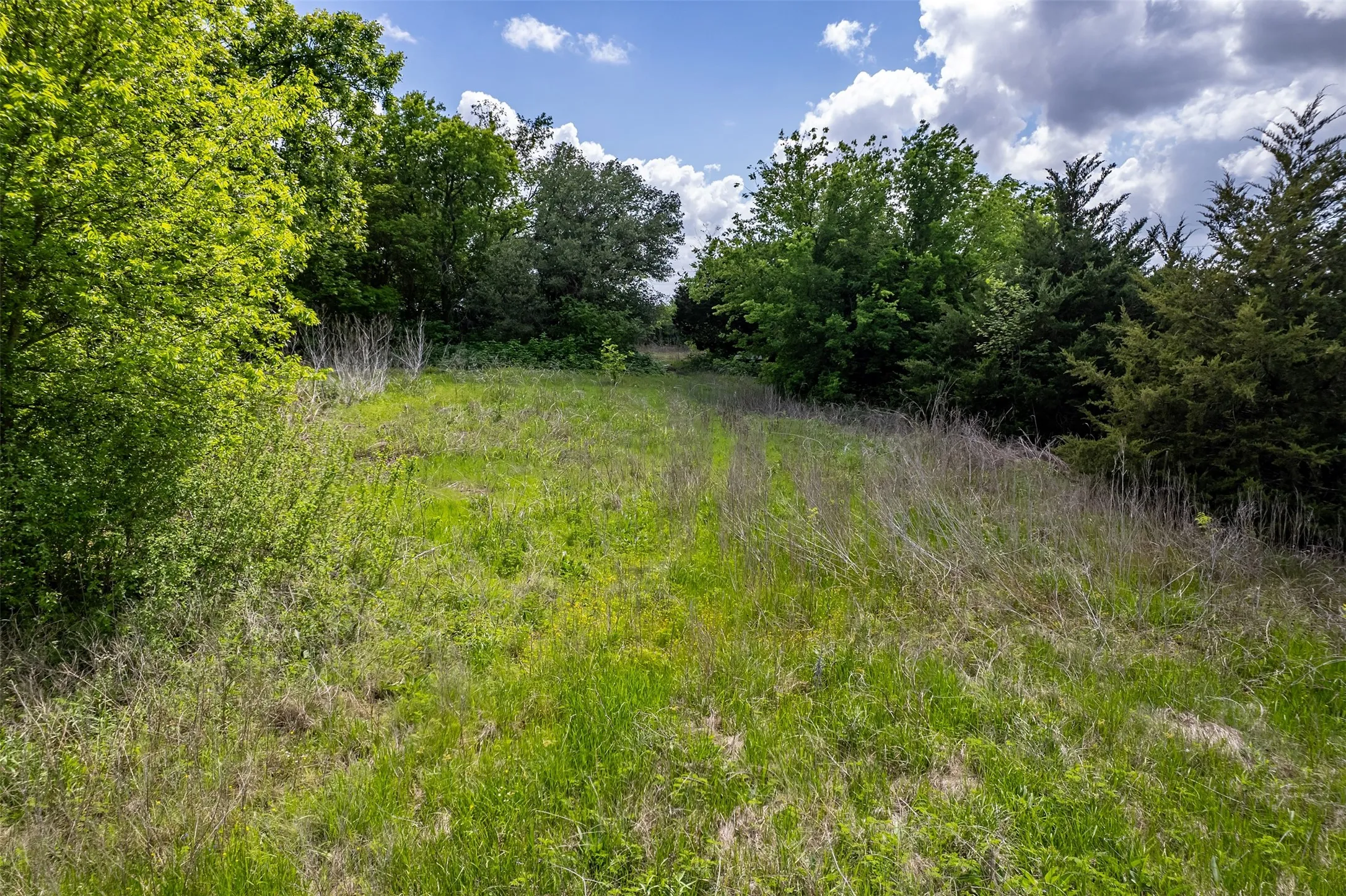 Unimproved Land For Sale in Collin County , 5228 County Road 599, Farmersville, Texas 75442, 0, 0, Garage spaces, 0 Sqft, built in 2001, mls#21241706, Real Estate Agent in Farmersville, Homes For Sale in Collin county, Homes For Sale in Farmersville, Realtor in Farmersville Texas, Real Estate Brokerage Independent Realty Texas, Luminita Cordes Realtor