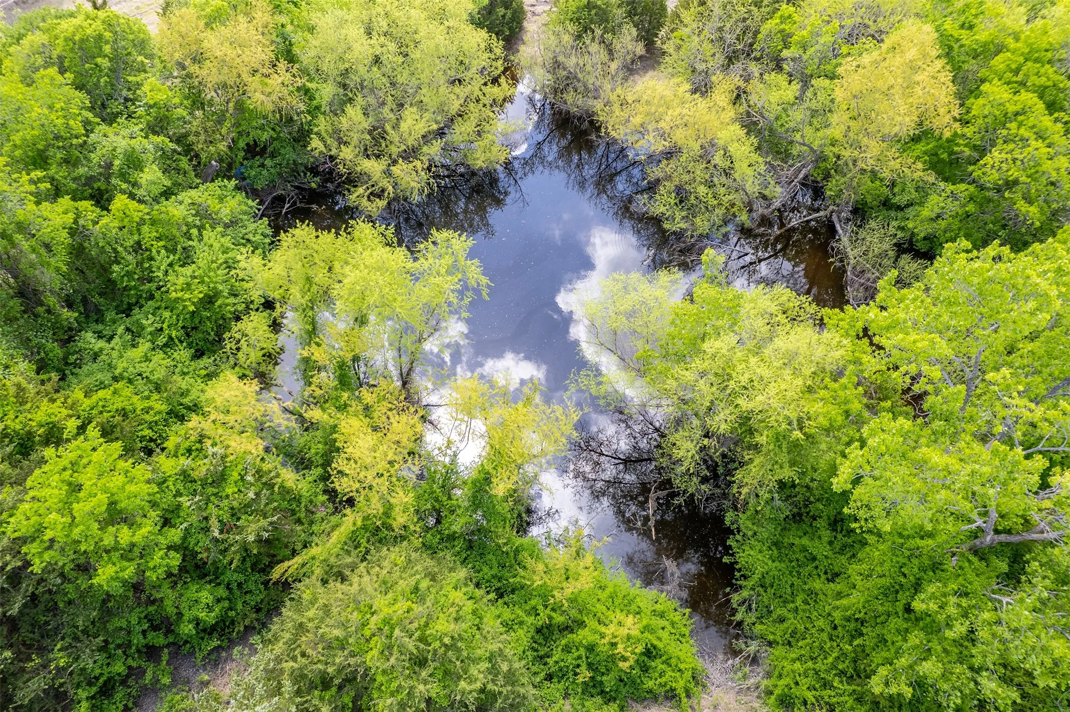 Unimproved Land For Sale in Collin County , 5228 County Road 599, Farmersville, Texas 75442, 0, 0, Garage spaces, 0 Sqft, built in 2001, mls#21241706, Real Estate Agent in Farmersville, Homes For Sale in Collin county, Homes For Sale in Farmersville, Realtor in Farmersville Texas, Real Estate Brokerage Independent Realty Texas, Luminita Cordes Realtor