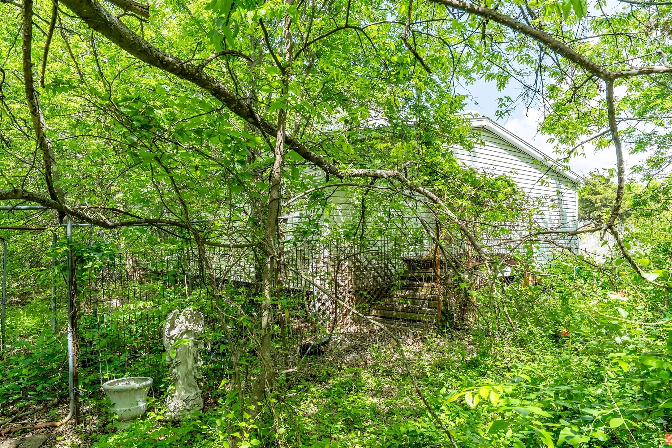 Unimproved Land For Sale in Collin County , 5228 County Road 599, Farmersville, Texas 75442, 0, 0, Garage spaces, 0 Sqft, built in 2001, mls#21241706, Real Estate Agent in Farmersville, Homes For Sale in Collin county, Homes For Sale in Farmersville, Realtor in Farmersville Texas, Real Estate Brokerage Independent Realty Texas, Luminita Cordes Realtor