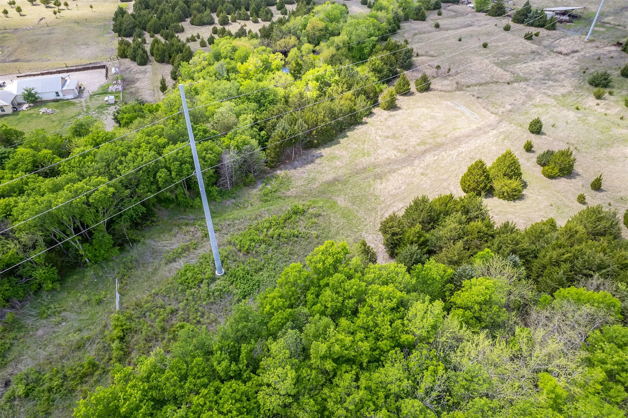 Unimproved Land For Sale in Collin County , 5228 County Road 599, Farmersville, Texas 75442, 0, 0, Garage spaces, 0 Sqft, built in 2001, mls#21241706, Real Estate Agent in Farmersville, Homes For Sale in Collin county, Homes For Sale in Farmersville, Realtor in Farmersville Texas, Real Estate Brokerage Independent Realty Texas, Luminita Cordes Realtor