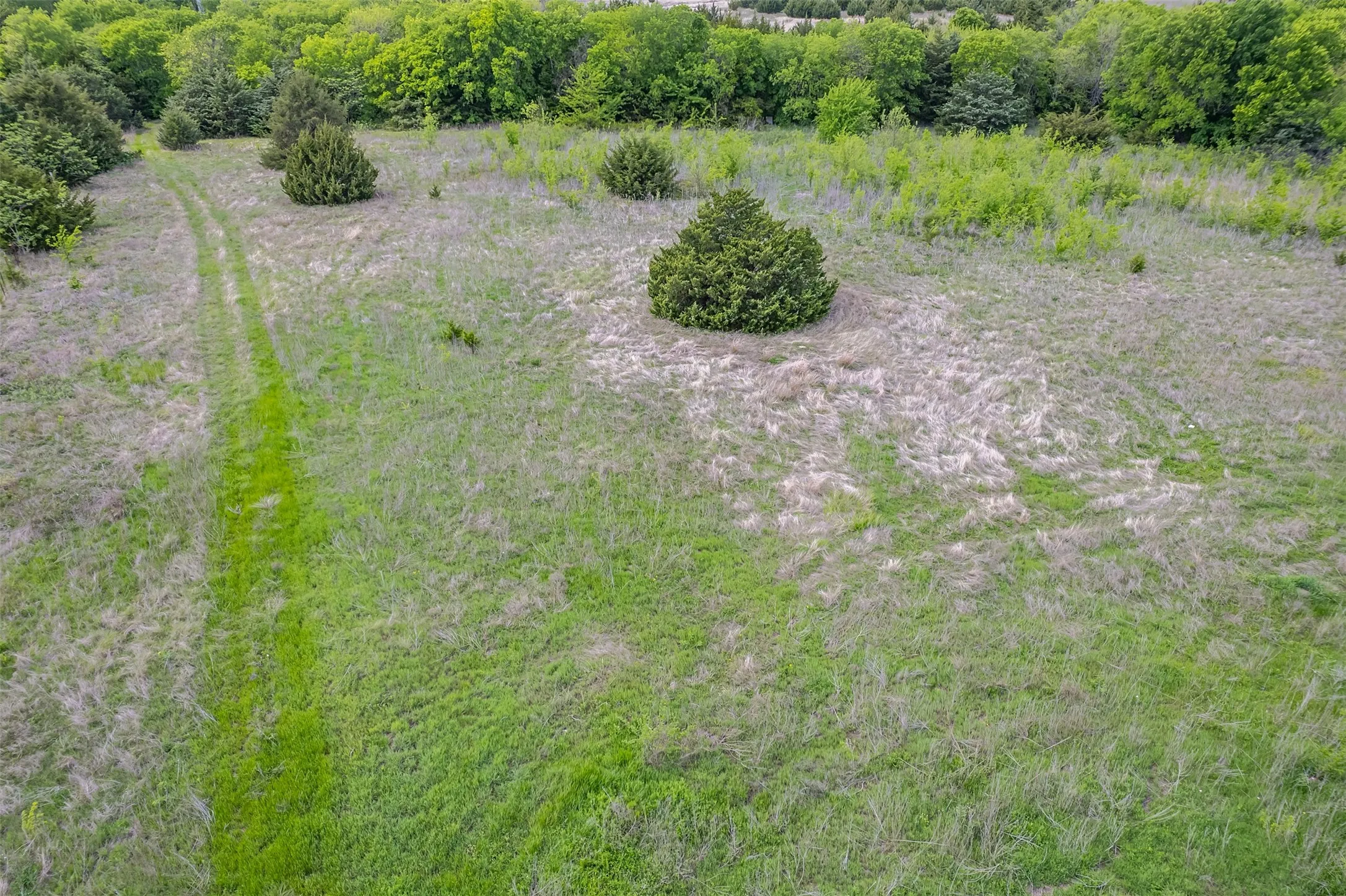 Unimproved Land For Sale in Collin County , 5228 County Road 599, Farmersville, Texas 75442, 0, 0, Garage spaces, 0 Sqft, built in 2001, mls#21241706, Real Estate Agent in Farmersville, Homes For Sale in Collin county, Homes For Sale in Farmersville, Realtor in Farmersville Texas, Real Estate Brokerage Independent Realty Texas, Luminita Cordes Realtor