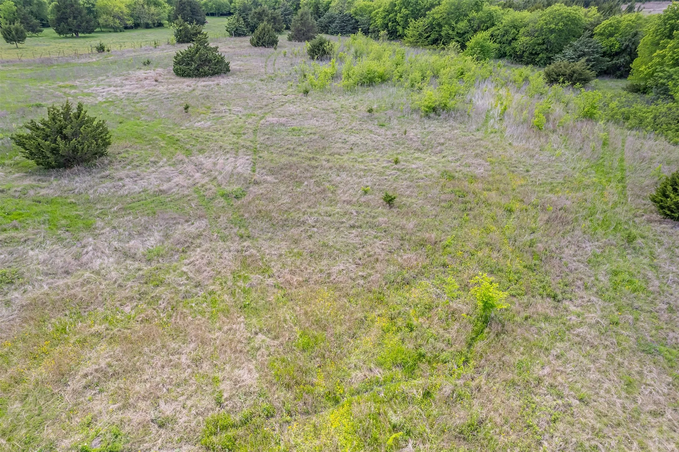 Unimproved Land For Sale in Collin County , 5228 County Road 599, Farmersville, Texas 75442, 0, 0, Garage spaces, 0 Sqft, built in 2001, mls#21241706, Real Estate Agent in Farmersville, Homes For Sale in Collin county, Homes For Sale in Farmersville, Realtor in Farmersville Texas, Real Estate Brokerage Independent Realty Texas, Luminita Cordes Realtor