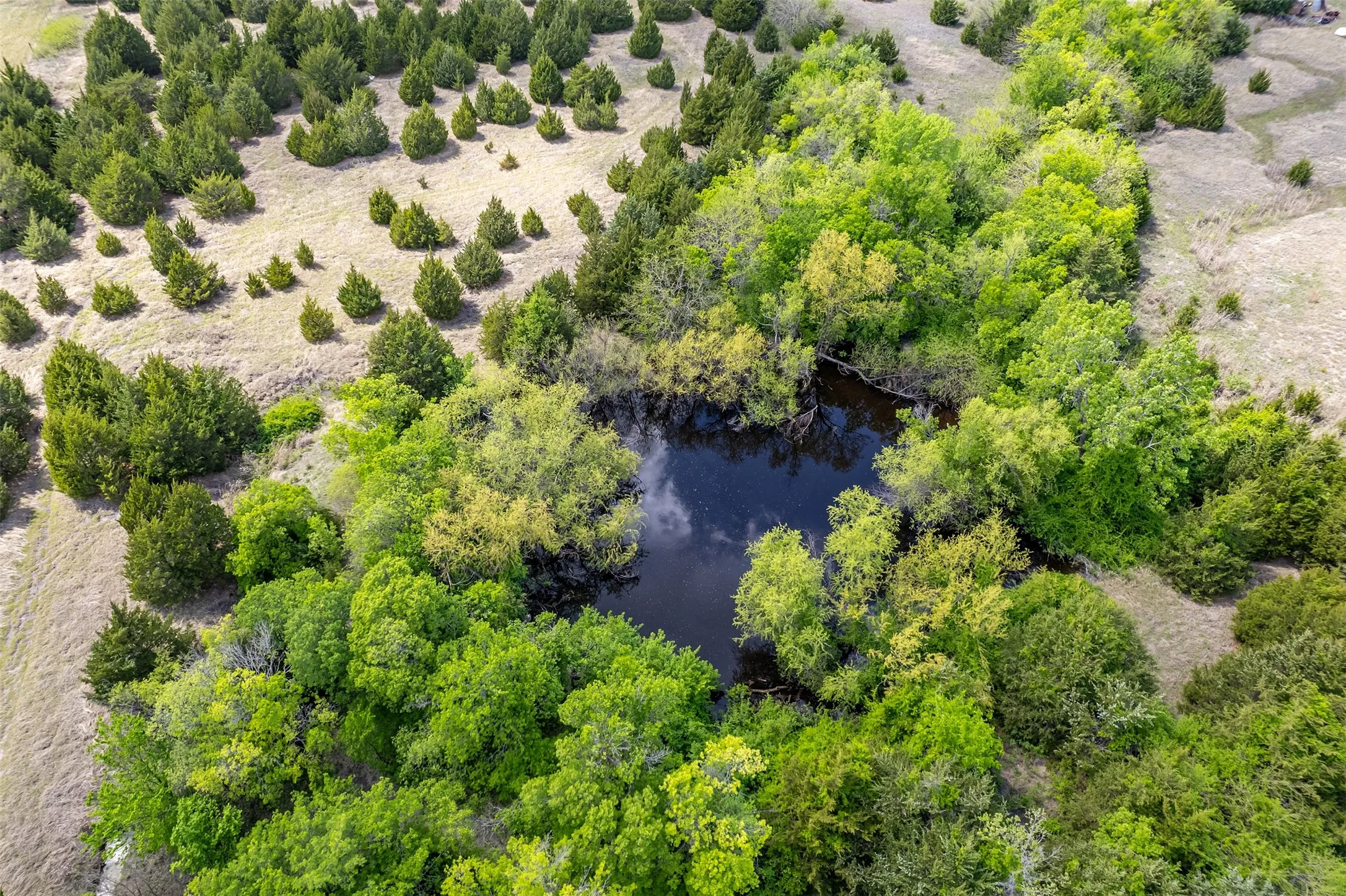Unimproved Land For Sale in Collin County , 5228 County Road 599, Farmersville, Texas 75442, 0, 0, Garage spaces, 0 Sqft, built in 2001, mls#21241706, Real Estate Agent in Farmersville, Homes For Sale in Collin county, Homes For Sale in Farmersville, Realtor in Farmersville Texas, Real Estate Brokerage Independent Realty Texas, Luminita Cordes Realtor