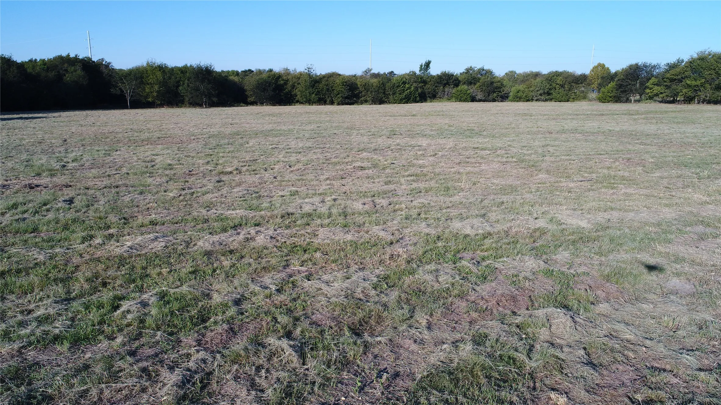 Expansive open field with a clear blue sky, bordered by a line of mature trees