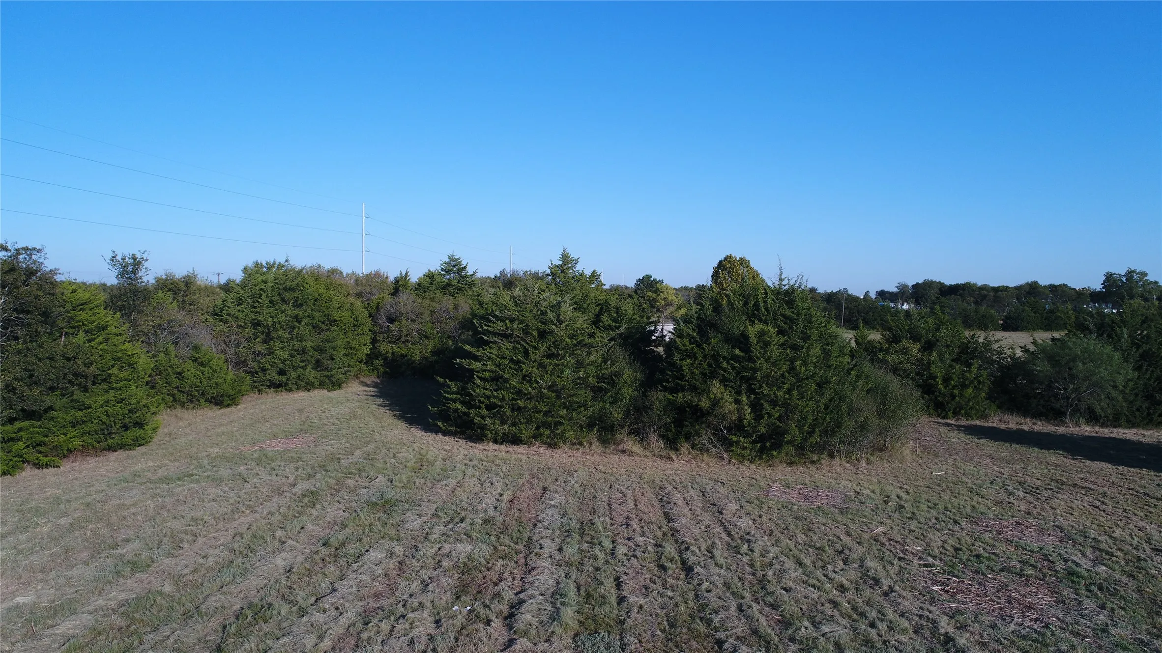 The property features an expanse of open land with natural ground cover and a variety of mature trees and shrubs