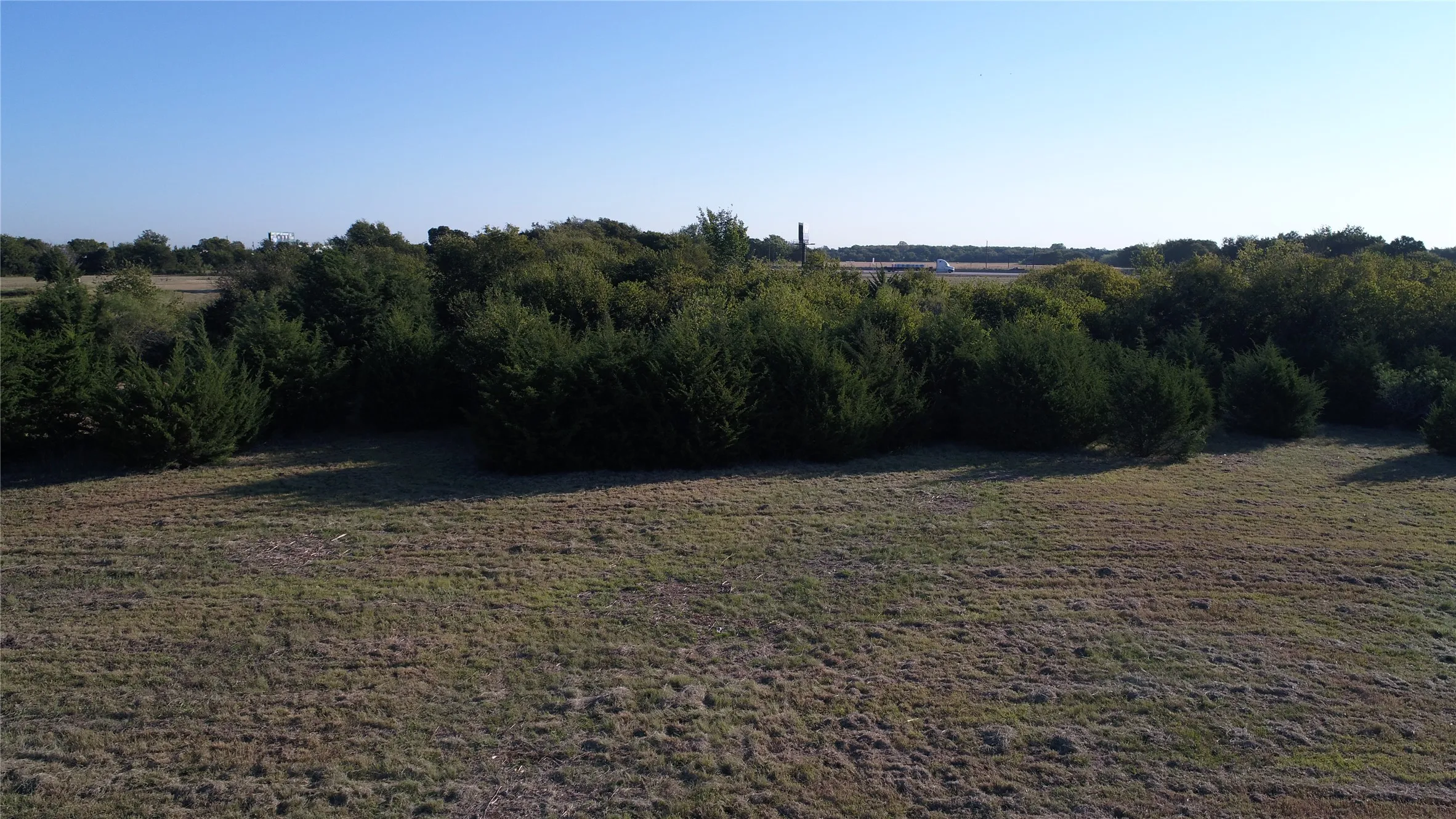 The property features an expansive natural landscape with a large grassy area and a border of mature, dense foliage