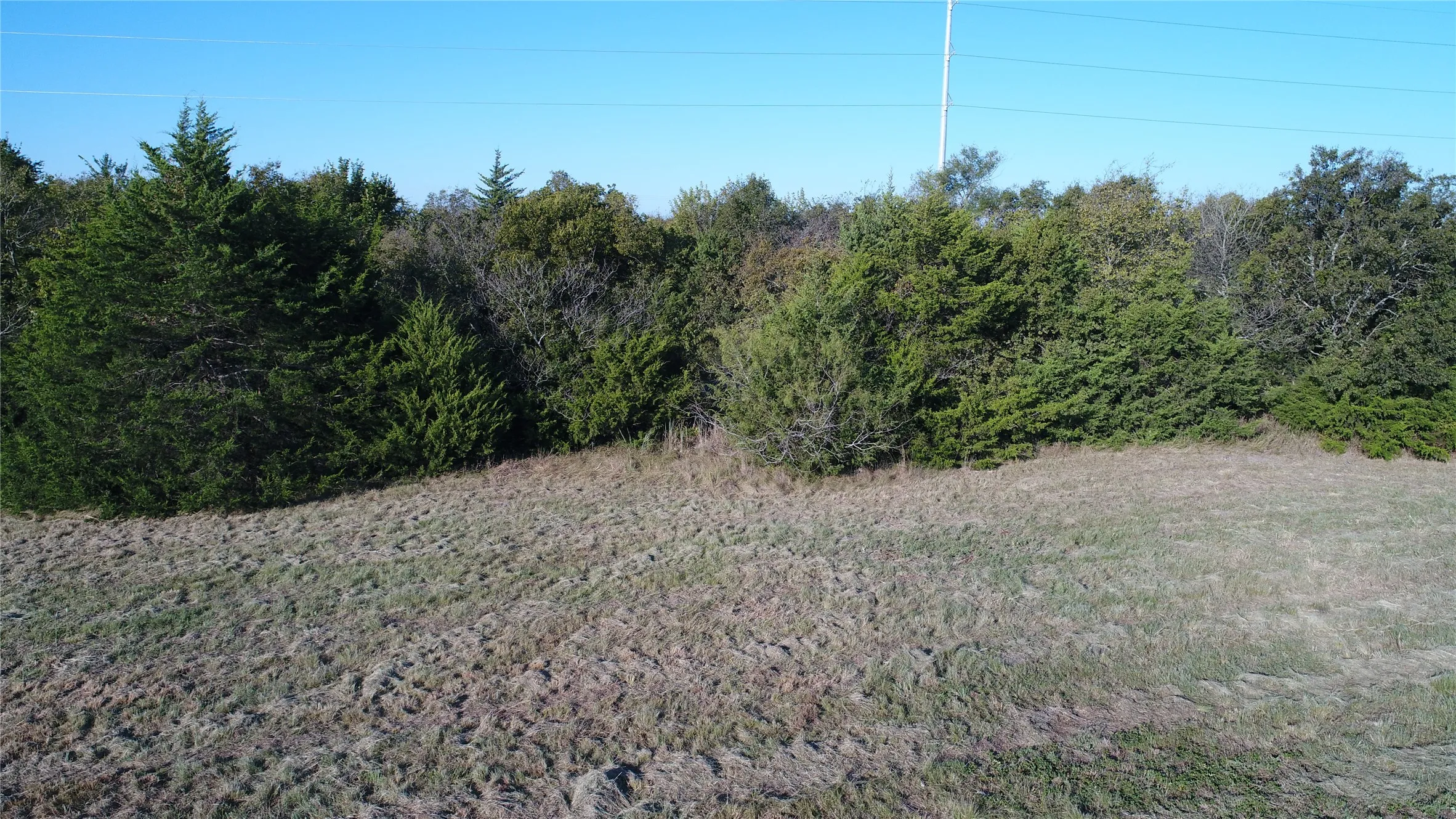 Expansive lot featuring a varied landscape with grassy areas and dense foliage