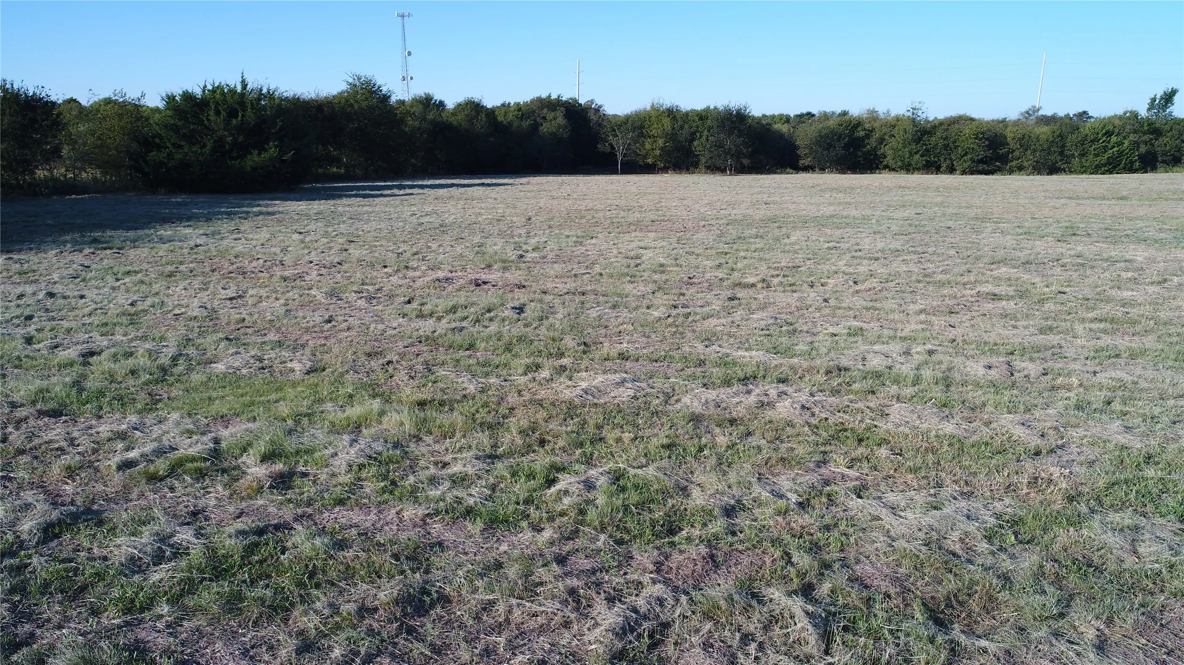 Expansive grassy lot bordered by a line of mature trees