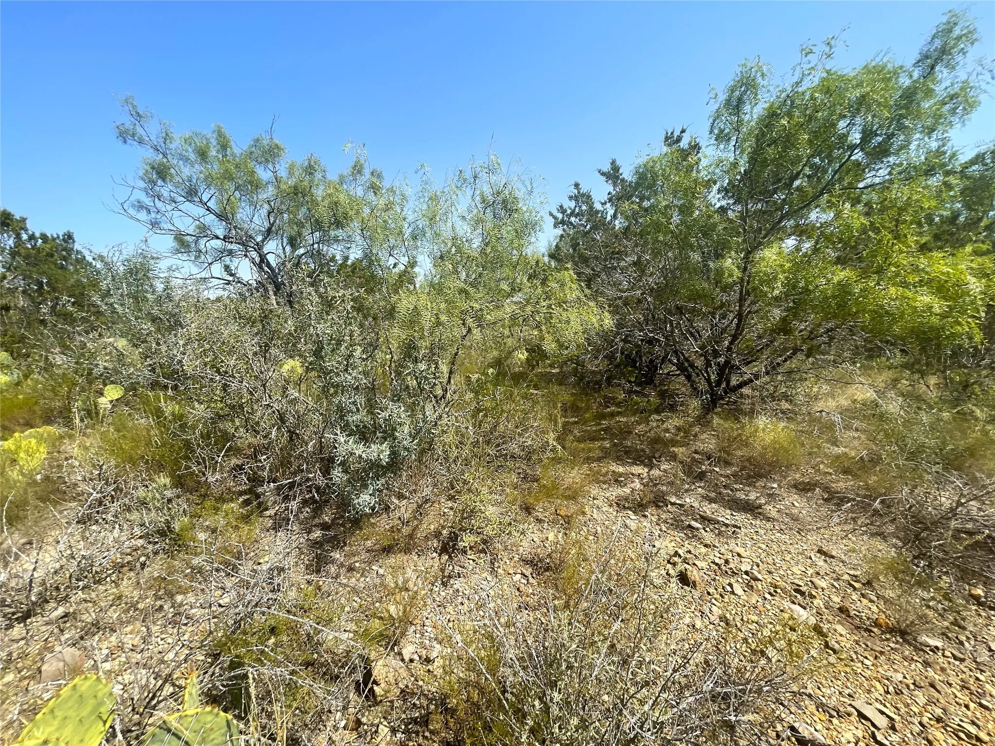 Ranch For Sale in Brown County , TBD CR 139, Bangs, Texas 76823, 0, 0, Garage spaces, 0 Sqft, built in 0, Price $1,275,000, mls#21241728, Real Estate Agent in Bangs, Homes For Sale in Brown county, Homes For Sale in Bangs, Realtor in Bangs Texas, Real Estate Brokerage Independent Realty Texas, Luminita Cordes Realtor