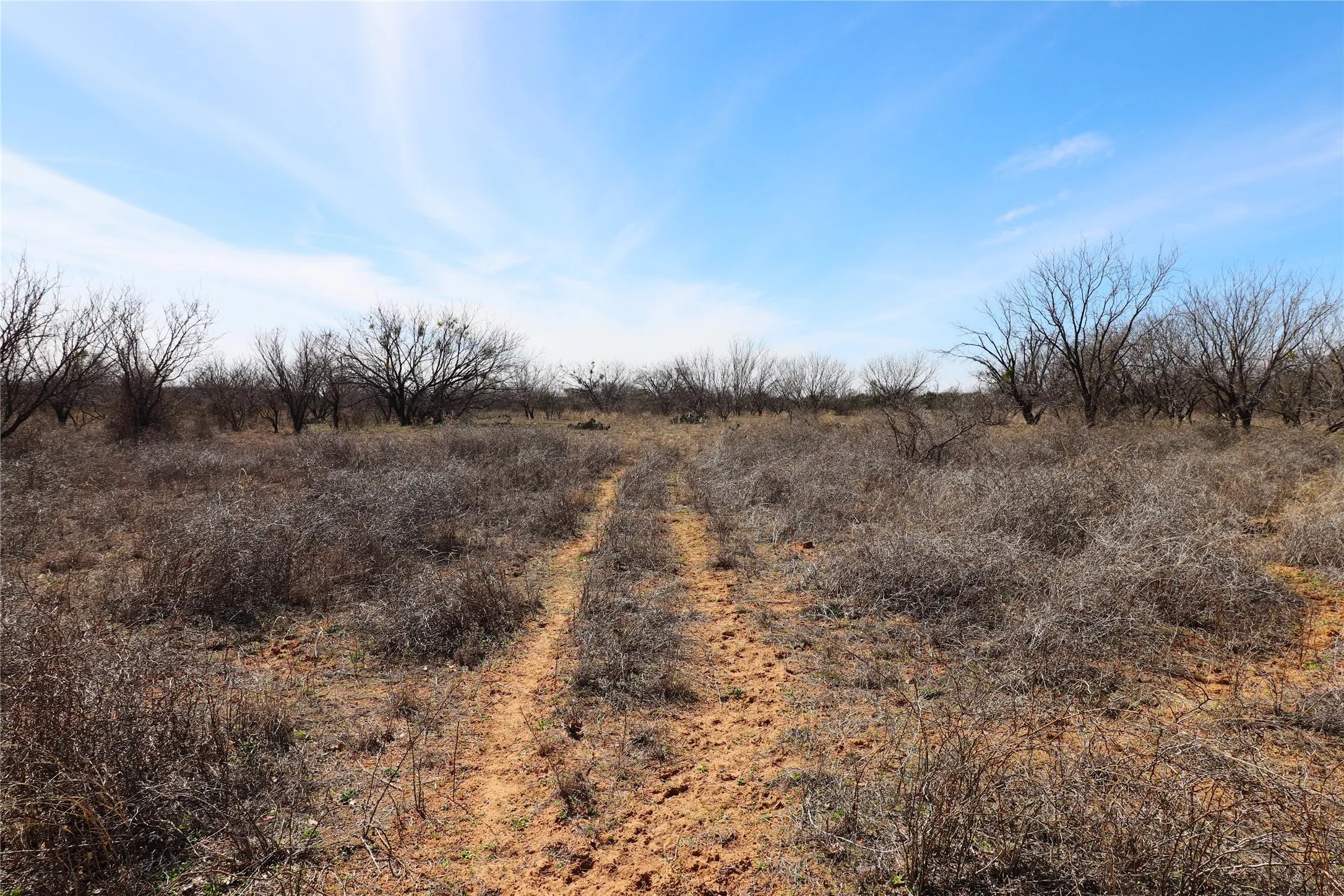 Ranch For Sale in Brown County , TBD CR 139, Bangs, Texas 76823, 0, 0, Garage spaces, 0 Sqft, built in 0, Price $1,275,000, mls#21241728, Real Estate Agent in Bangs, Homes For Sale in Brown county, Homes For Sale in Bangs, Realtor in Bangs Texas, Real Estate Brokerage Independent Realty Texas, Luminita Cordes Realtor