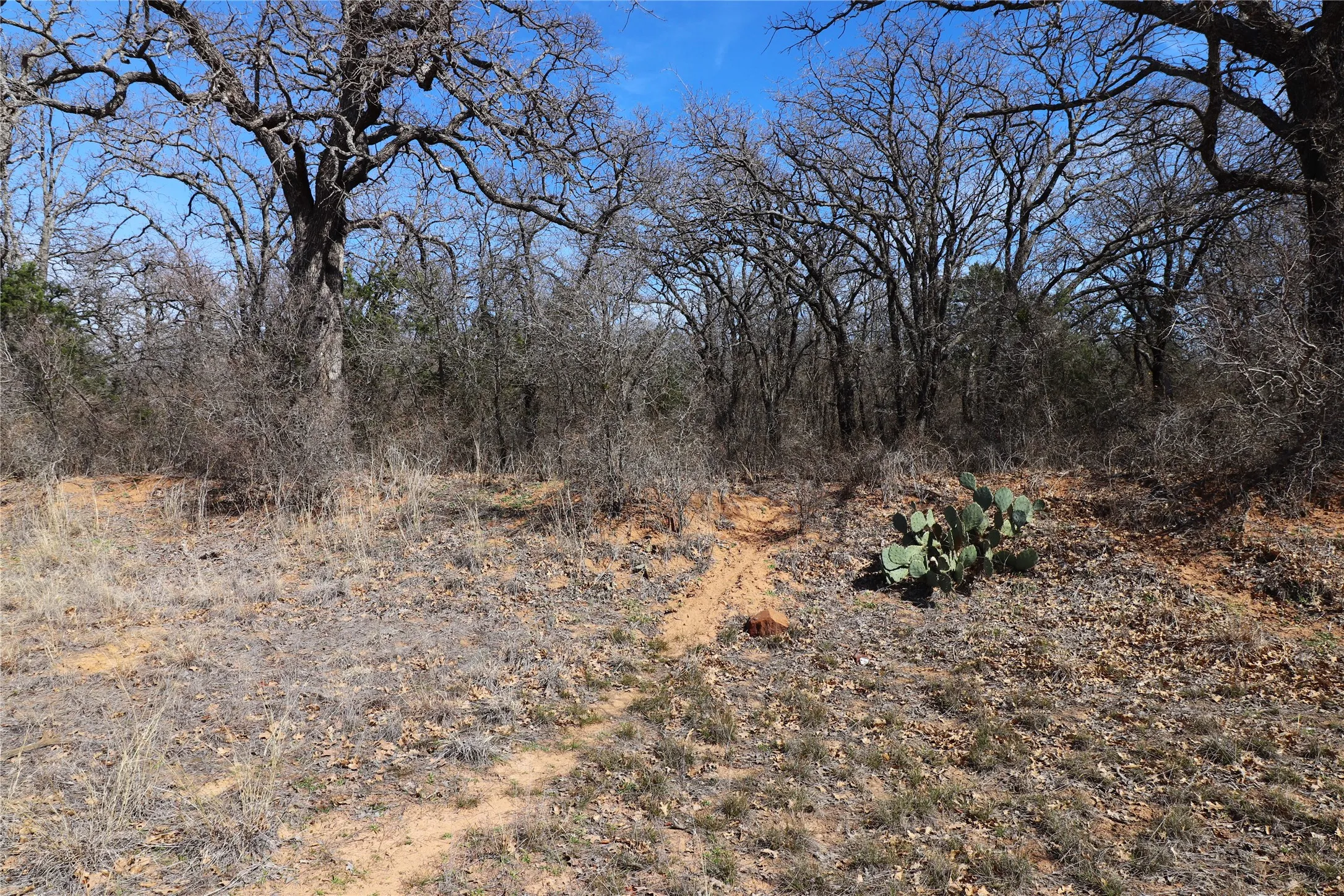 Ranch For Sale in Brown County , TBD CR 139, Bangs, Texas 76823, 0, 0, Garage spaces, 0 Sqft, built in 0, Price $1,275,000, mls#21241728, Real Estate Agent in Bangs, Homes For Sale in Brown county, Homes For Sale in Bangs, Realtor in Bangs Texas, Real Estate Brokerage Independent Realty Texas, Luminita Cordes Realtor