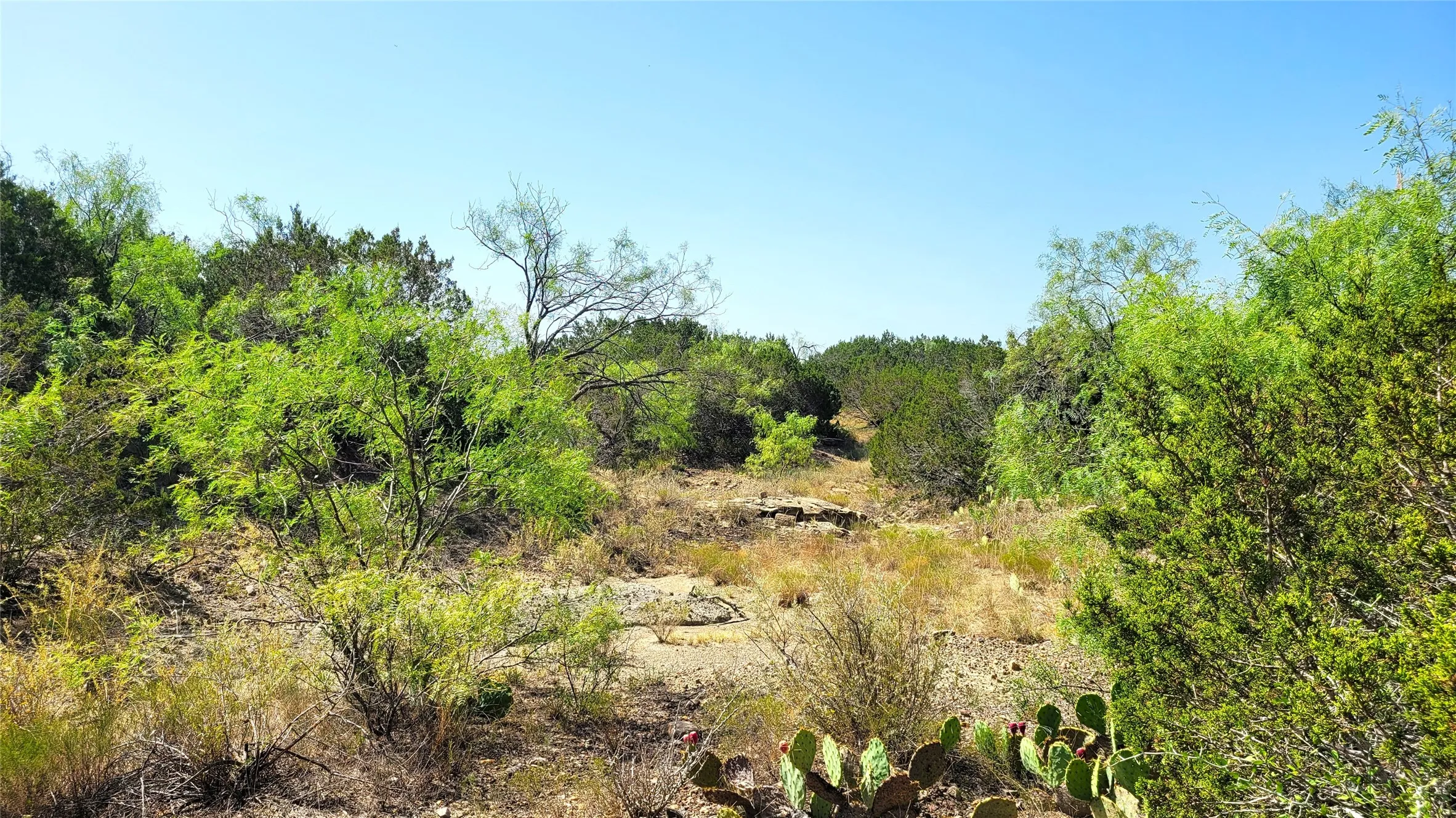 Ranch For Sale in Brown County , TBD CR 139, Bangs, Texas 76823, 0, 0, Garage spaces, 0 Sqft, built in 0, Price $1,275,000, mls#21241728, Real Estate Agent in Bangs, Homes For Sale in Brown county, Homes For Sale in Bangs, Realtor in Bangs Texas, Real Estate Brokerage Independent Realty Texas, Luminita Cordes Realtor