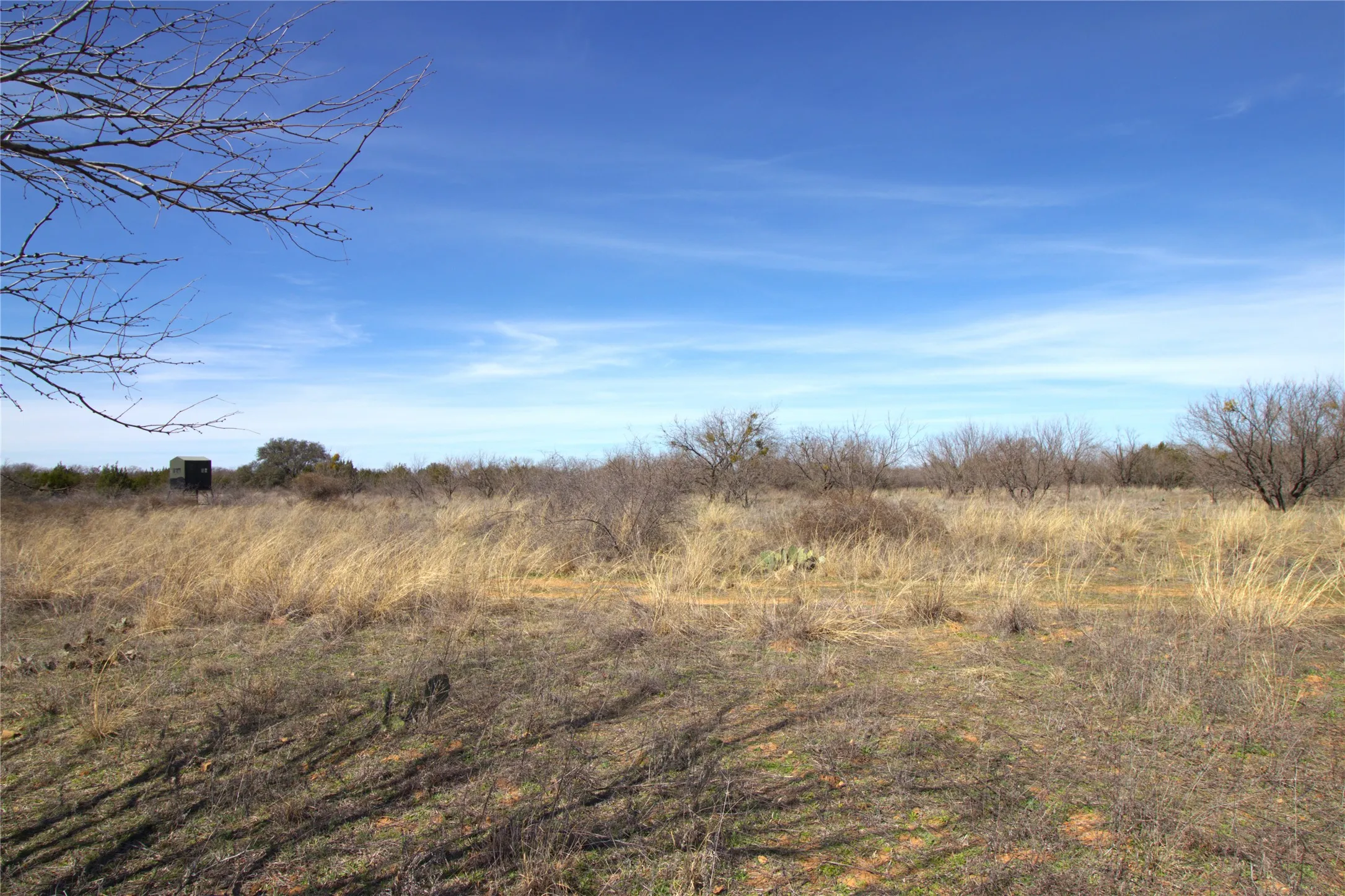 Ranch For Sale in Brown County , TBD CR 139, Bangs, Texas 76823, 0, 0, Garage spaces, 0 Sqft, built in 0, Price $1,275,000, mls#21241728, Real Estate Agent in Bangs, Homes For Sale in Brown county, Homes For Sale in Bangs, Realtor in Bangs Texas, Real Estate Brokerage Independent Realty Texas, Luminita Cordes Realtor