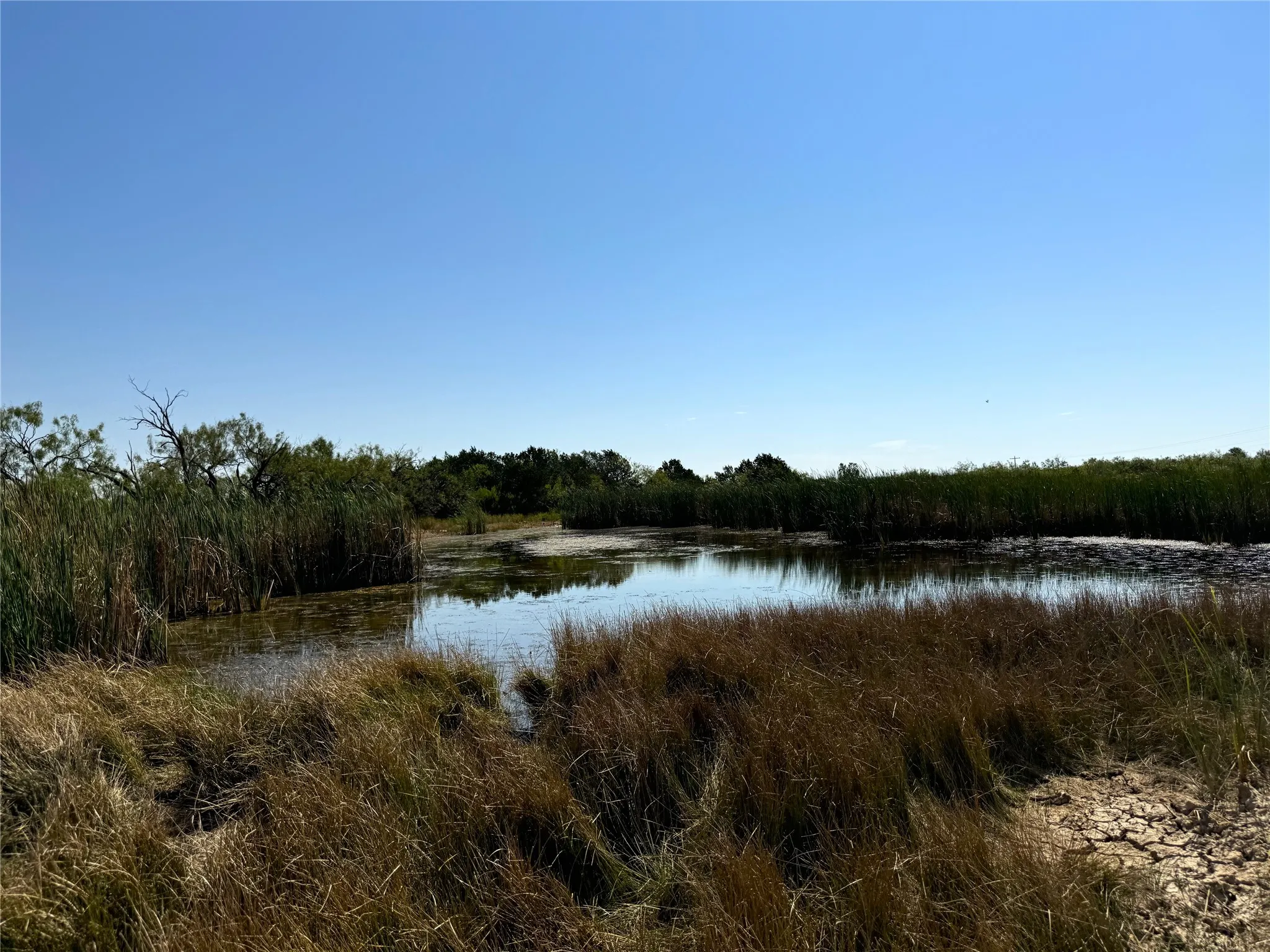 Ranch For Sale in Brown County , TBD CR 139, Bangs, Texas 76823, 0, 0, Garage spaces, 0 Sqft, built in 0, Price $1,275,000, mls#21241728, Real Estate Agent in Bangs, Homes For Sale in Brown county, Homes For Sale in Bangs, Realtor in Bangs Texas, Real Estate Brokerage Independent Realty Texas, Luminita Cordes Realtor