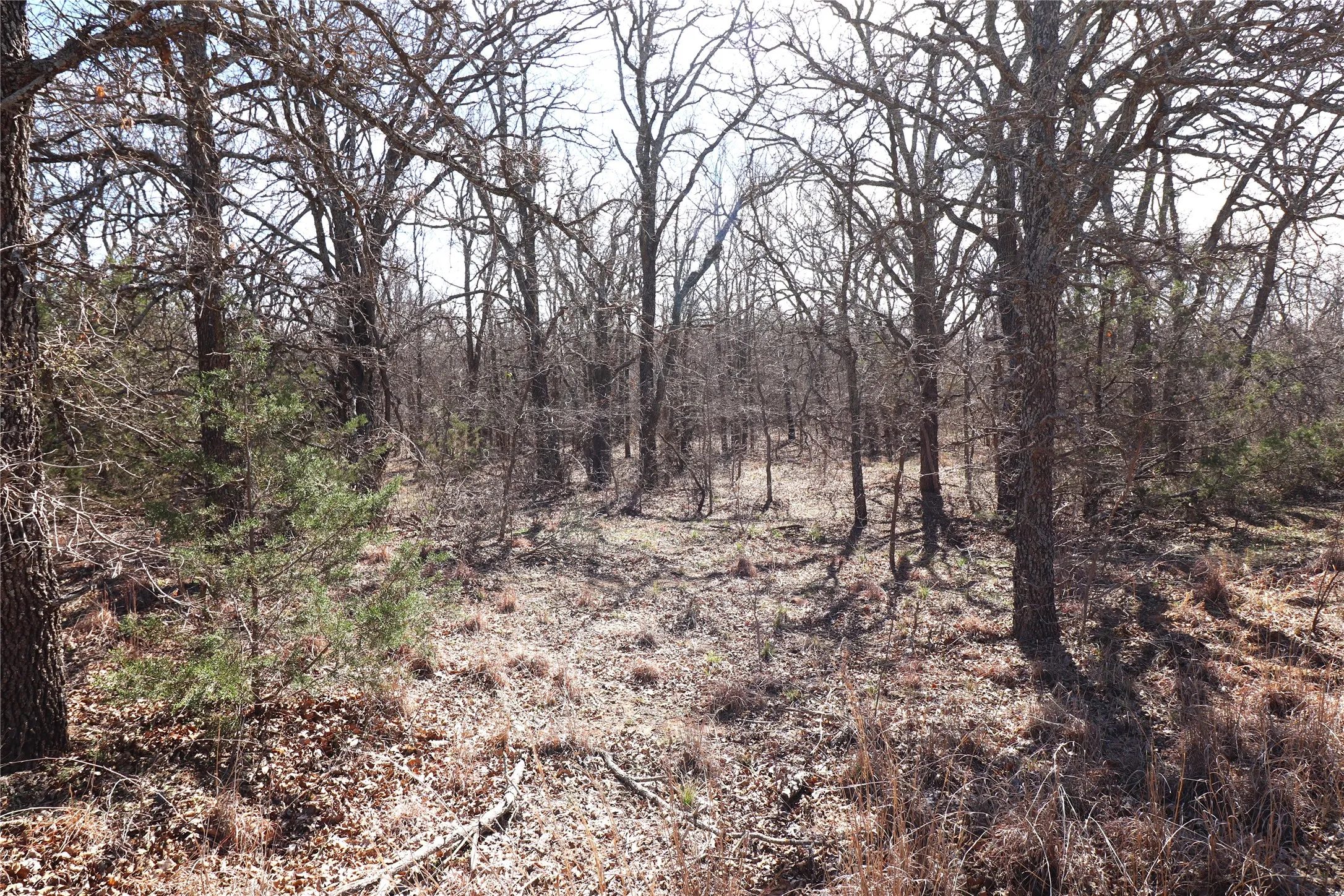 Ranch For Sale in Brown County , TBD CR 139, Bangs, Texas 76823, 0, 0, Garage spaces, 0 Sqft, built in 0, Price $1,275,000, mls#21241728, Real Estate Agent in Bangs, Homes For Sale in Brown county, Homes For Sale in Bangs, Realtor in Bangs Texas, Real Estate Brokerage Independent Realty Texas, Luminita Cordes Realtor