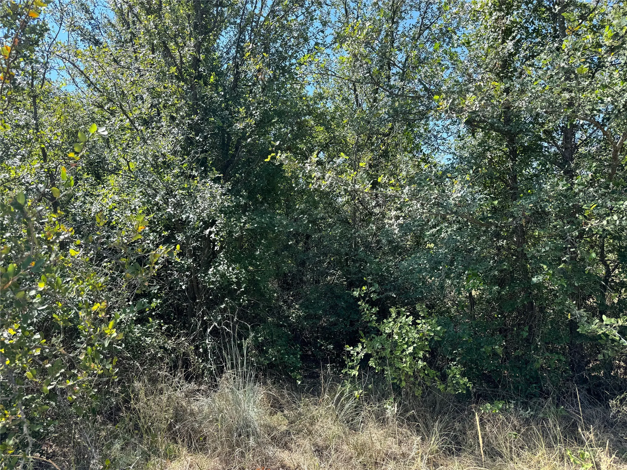 Ranch For Sale in Brown County , TBD CR 139, Bangs, Texas 76823, 0, 0, Garage spaces, 0 Sqft, built in 0, Price $1,275,000, mls#21241728, Real Estate Agent in Bangs, Homes For Sale in Brown county, Homes For Sale in Bangs, Realtor in Bangs Texas, Real Estate Brokerage Independent Realty Texas, Luminita Cordes Realtor