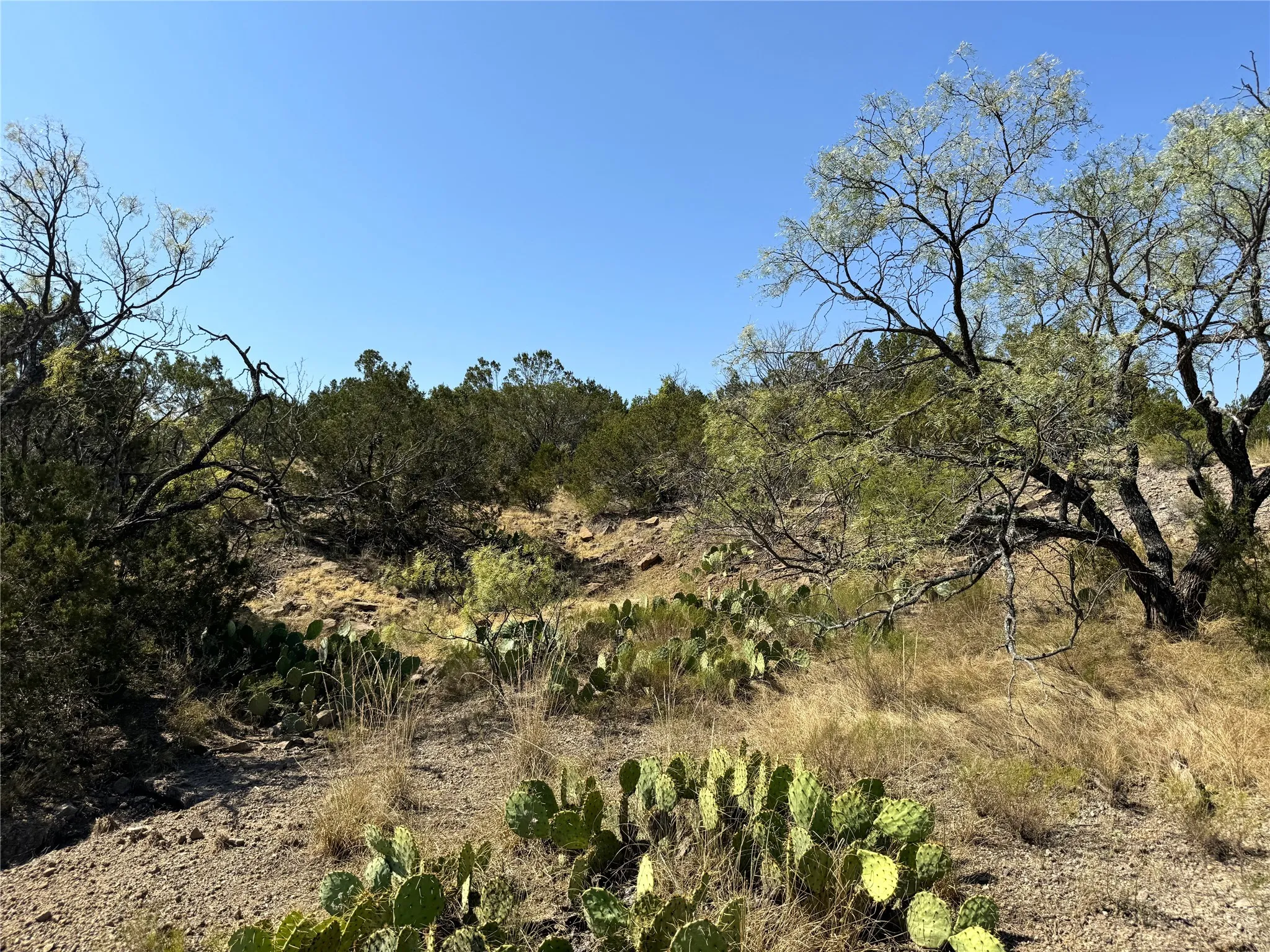 Ranch For Sale in Brown County , TBD CR 139, Bangs, Texas 76823, 0, 0, Garage spaces, 0 Sqft, built in 0, Price $1,275,000, mls#21241728, Real Estate Agent in Bangs, Homes For Sale in Brown county, Homes For Sale in Bangs, Realtor in Bangs Texas, Real Estate Brokerage Independent Realty Texas, Luminita Cordes Realtor
