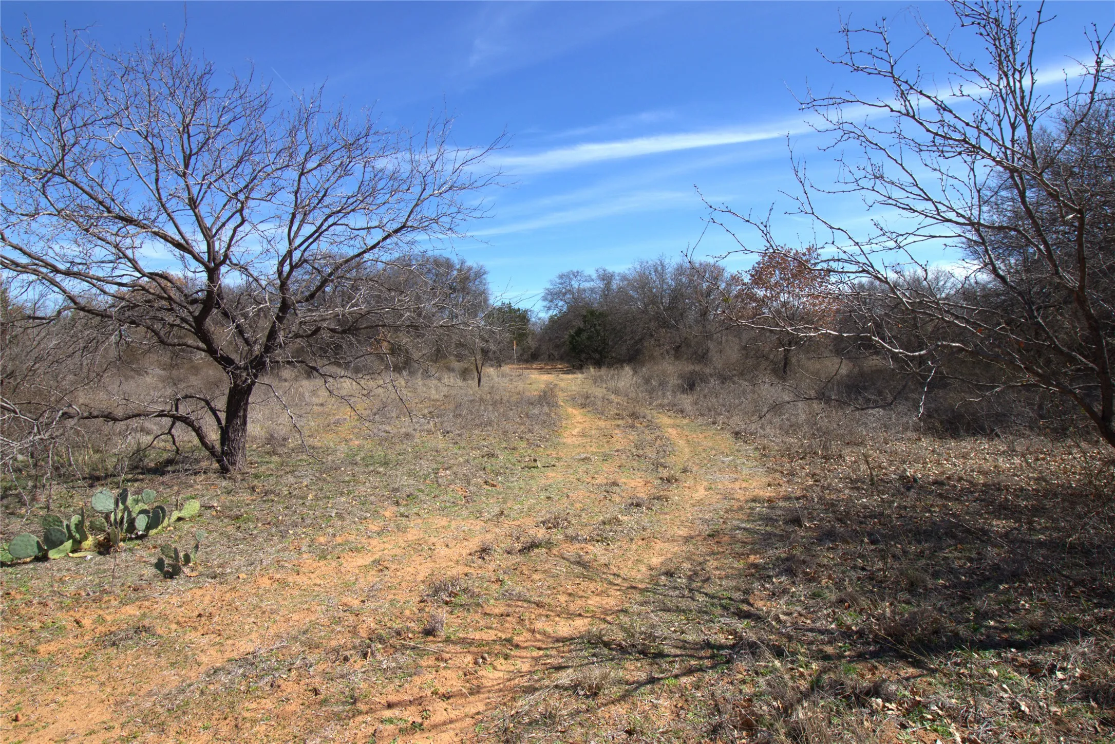 Ranch For Sale in Brown County , TBD CR 139, Bangs, Texas 76823, 0, 0, Garage spaces, 0 Sqft, built in 0, Price $1,275,000, mls#21241728, Real Estate Agent in Bangs, Homes For Sale in Brown county, Homes For Sale in Bangs, Realtor in Bangs Texas, Real Estate Brokerage Independent Realty Texas, Luminita Cordes Realtor