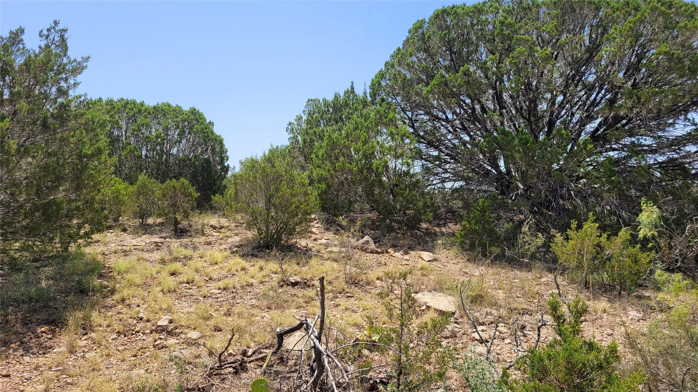 Ranch For Sale in Brown County , TBD CR 139, Bangs, Texas 76823, 0, 0, Garage spaces, 0 Sqft, built in 0, Price $1,275,000, mls#21241728, Real Estate Agent in Bangs, Homes For Sale in Brown county, Homes For Sale in Bangs, Realtor in Bangs Texas, Real Estate Brokerage Independent Realty Texas, Luminita Cordes Realtor