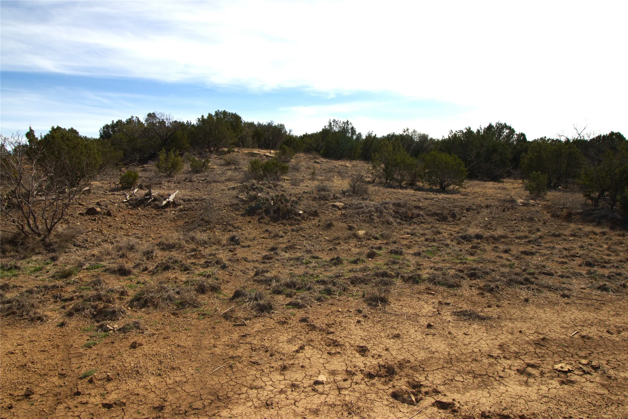 Ranch For Sale in Brown County , TBD CR 139, Bangs, Texas 76823, 0, 0, Garage spaces, 0 Sqft, built in 0, Price $1,275,000, mls#21241728, Real Estate Agent in Bangs, Homes For Sale in Brown county, Homes For Sale in Bangs, Realtor in Bangs Texas, Real Estate Brokerage Independent Realty Texas, Luminita Cordes Realtor