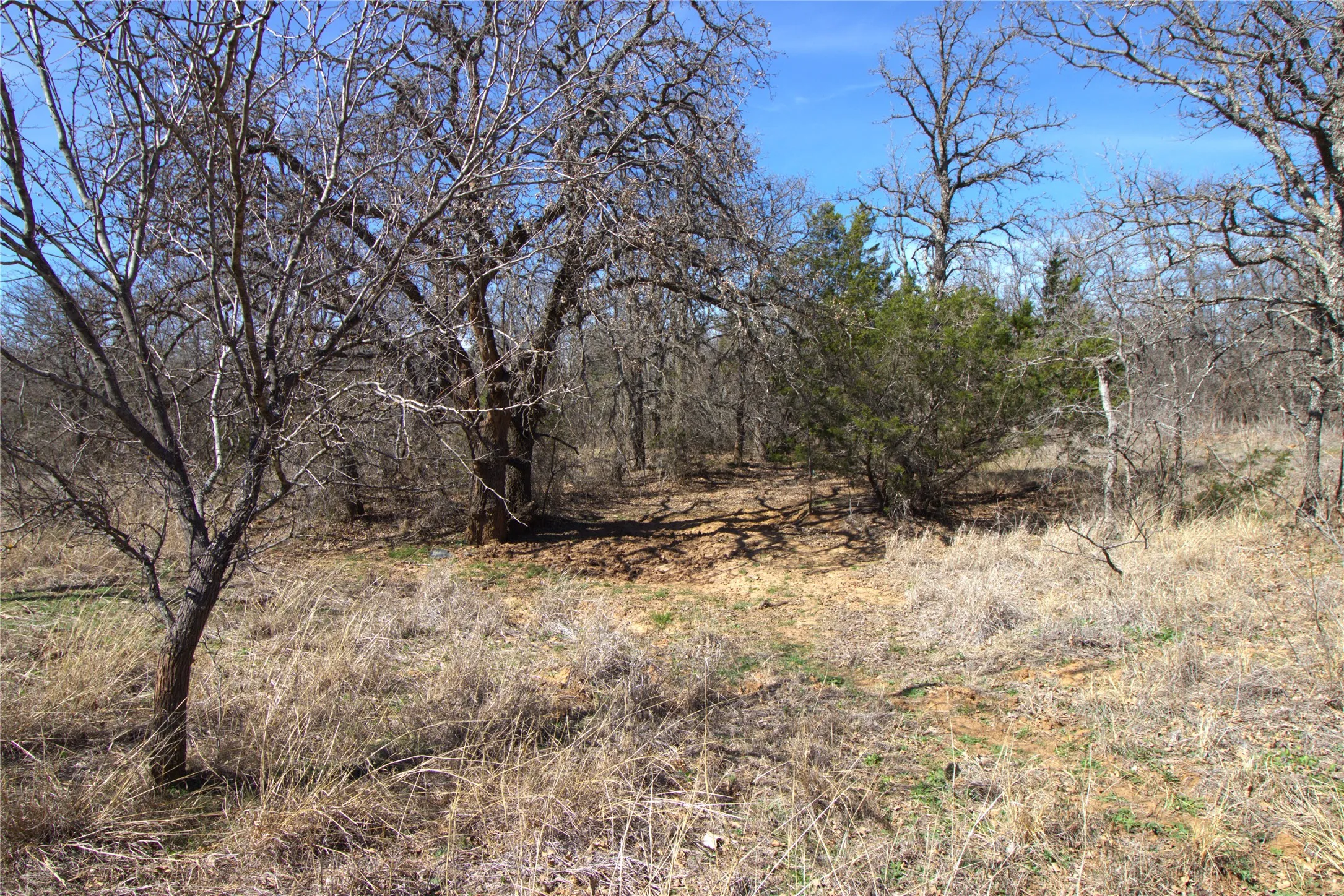 Ranch For Sale in Brown County , TBD CR 139, Bangs, Texas 76823, 0, 0, Garage spaces, 0 Sqft, built in 0, Price $1,275,000, mls#21241728, Real Estate Agent in Bangs, Homes For Sale in Brown county, Homes For Sale in Bangs, Realtor in Bangs Texas, Real Estate Brokerage Independent Realty Texas, Luminita Cordes Realtor