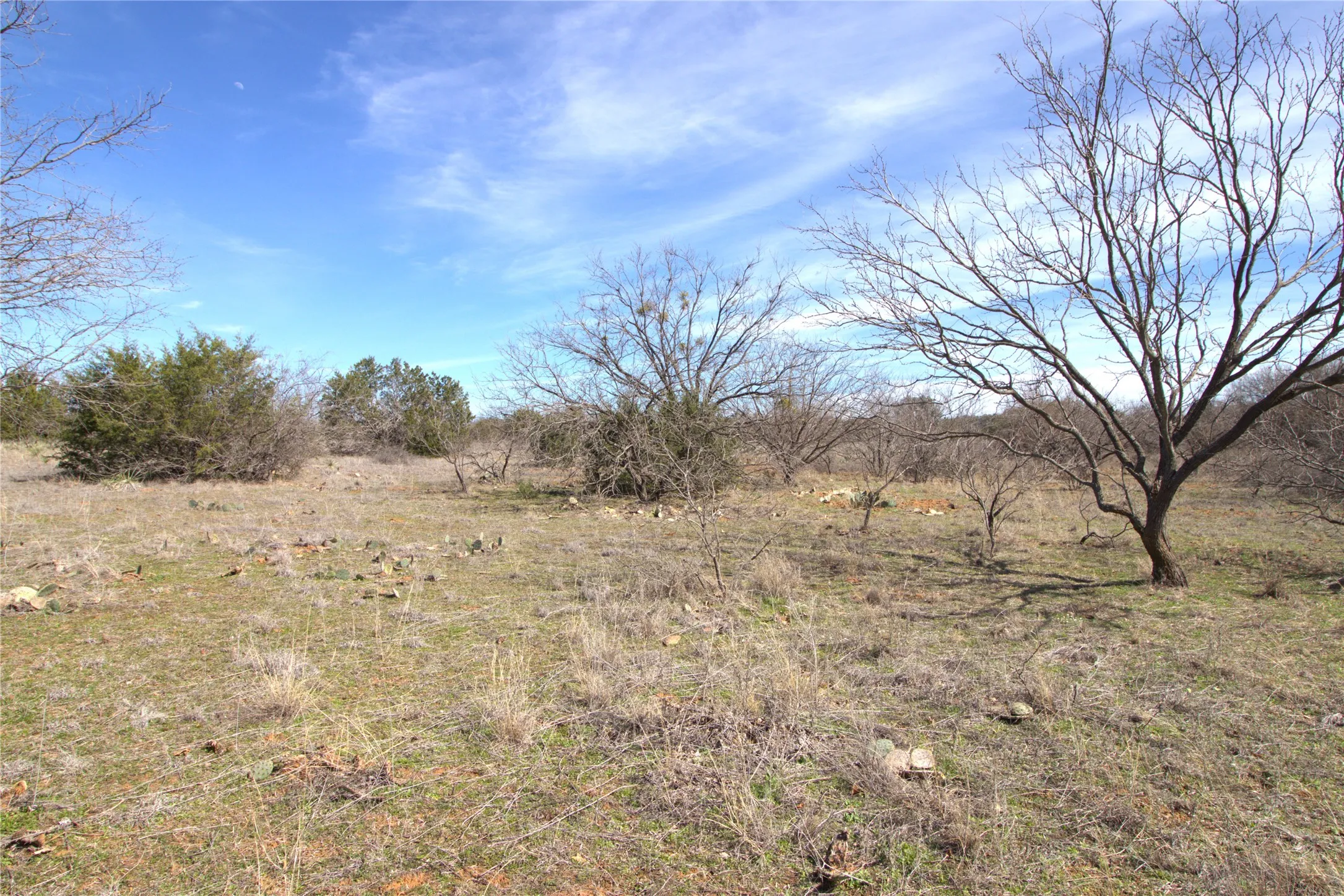 Ranch For Sale in Brown County , TBD CR 139, Bangs, Texas 76823, 0, 0, Garage spaces, 0 Sqft, built in 0, Price $1,275,000, mls#21241728, Real Estate Agent in Bangs, Homes For Sale in Brown county, Homes For Sale in Bangs, Realtor in Bangs Texas, Real Estate Brokerage Independent Realty Texas, Luminita Cordes Realtor