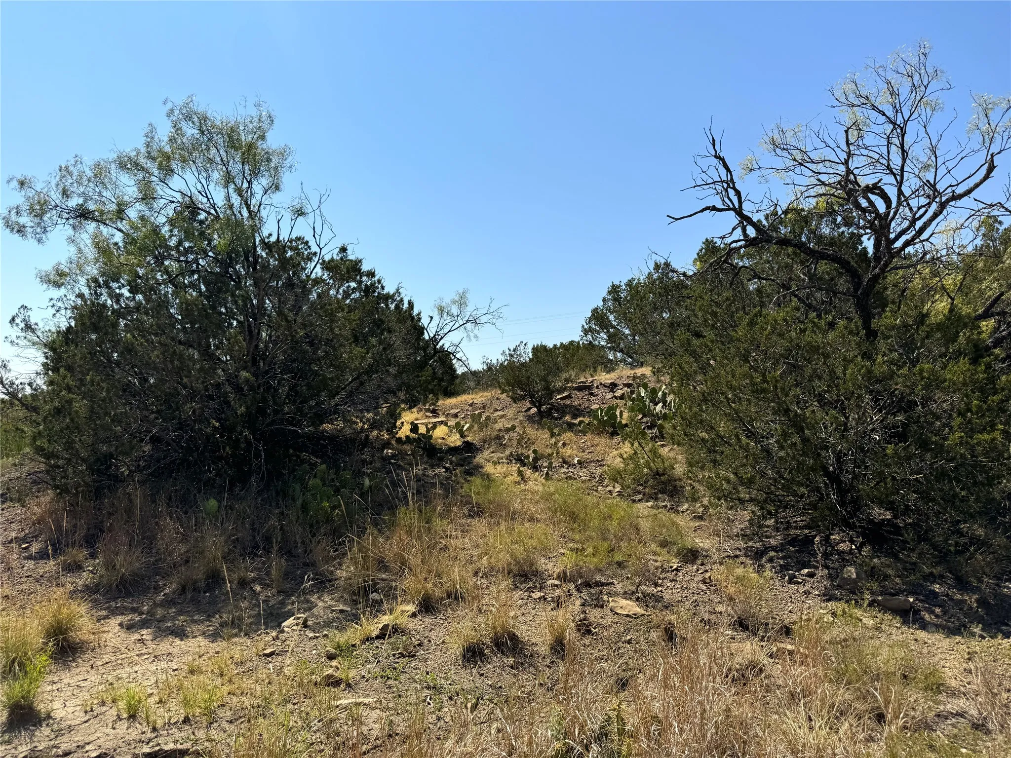 Ranch For Sale in Brown County , TBD CR 139, Bangs, Texas 76823, 0, 0, Garage spaces, 0 Sqft, built in 0, Price $1,275,000, mls#21241728, Real Estate Agent in Bangs, Homes For Sale in Brown county, Homes For Sale in Bangs, Realtor in Bangs Texas, Real Estate Brokerage Independent Realty Texas, Luminita Cordes Realtor