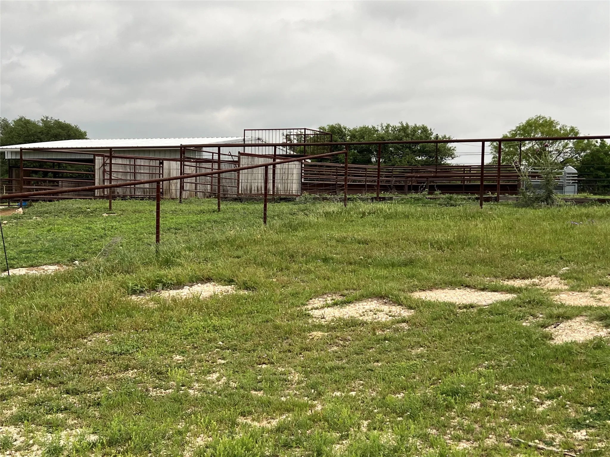The property features an extensive grassy area with a partial gravel ground covering