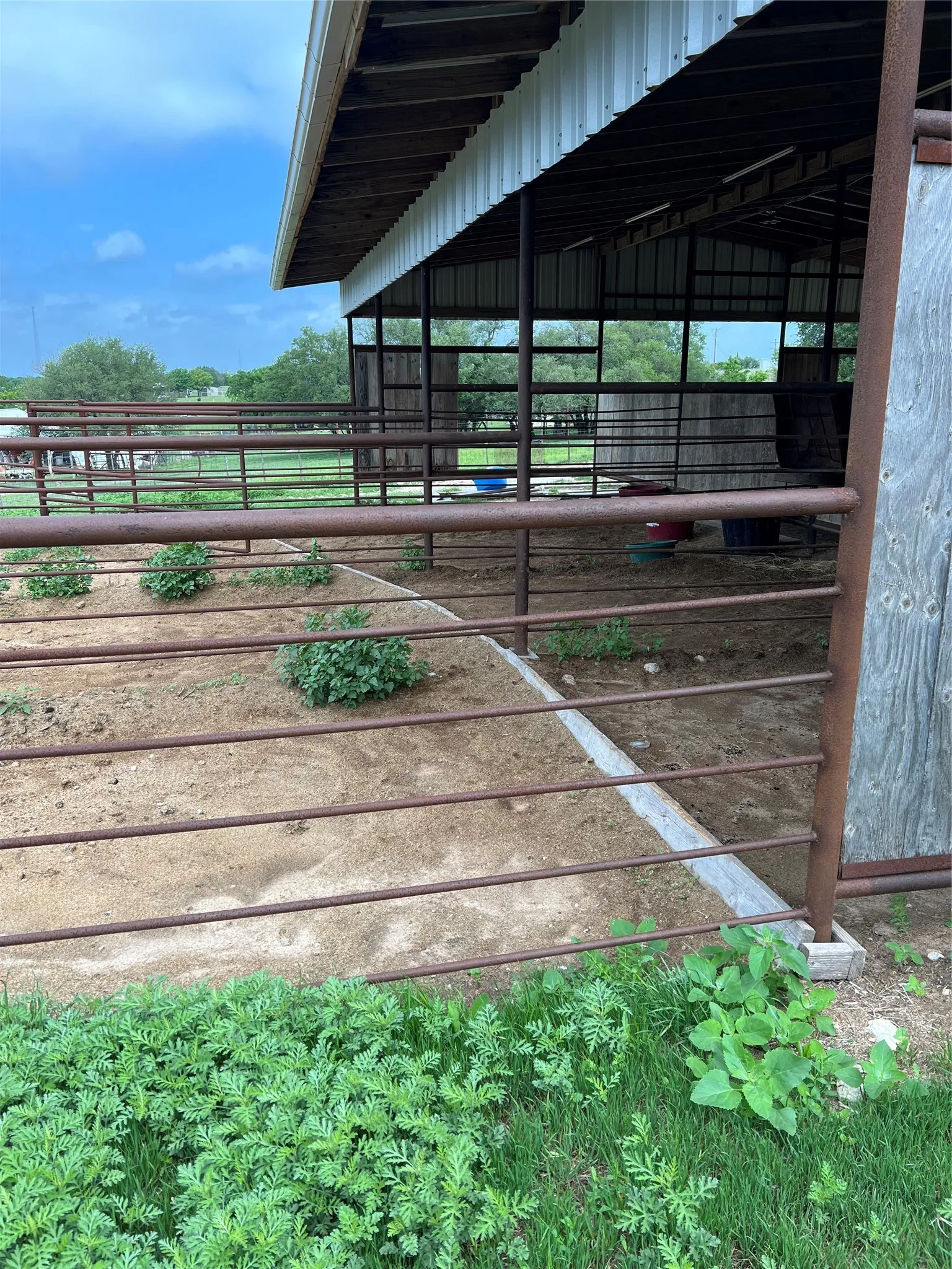 Property features a covered barn structure with metal fencing