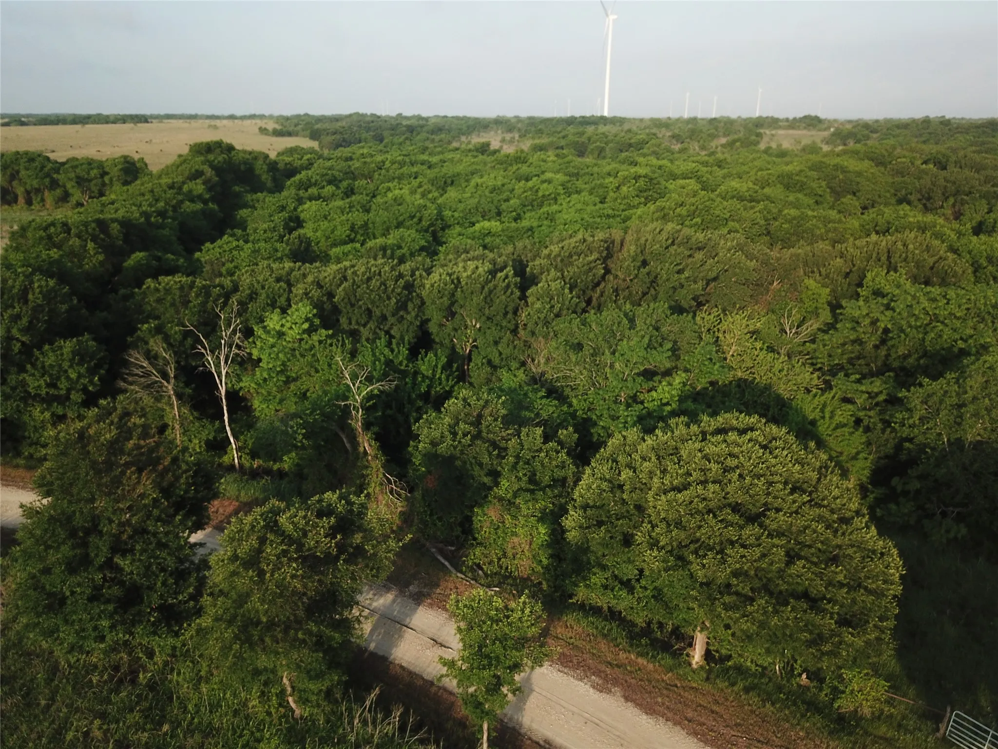 Ranch For Sale in Limestone County , 15.35 ACRES LCR 219, Coolidge, Texas 76635, 0, 0, Garage spaces, 0 Sqft, built in 0, mls#21240105, Real Estate Agent in Coolidge, Homes For Sale in Limestone county, Homes For Sale in Coolidge, Realtor in Coolidge Texas, Real Estate Brokerage Independent Realty Texas, Luminita Cordes Realtor
