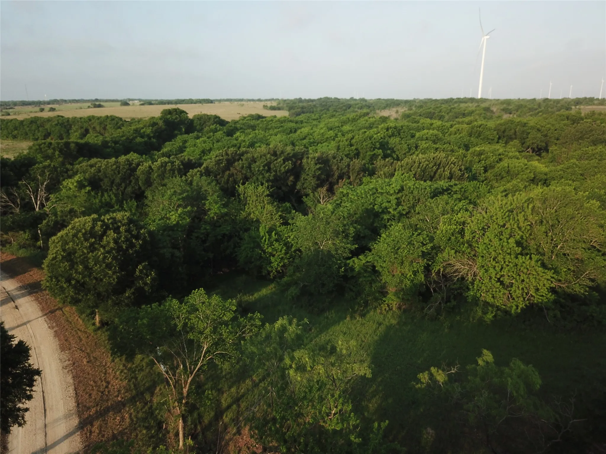 Ranch For Sale in Limestone County , 15.35 ACRES LCR 219, Coolidge, Texas 76635, 0, 0, Garage spaces, 0 Sqft, built in 0, mls#21240105, Real Estate Agent in Coolidge, Homes For Sale in Limestone county, Homes For Sale in Coolidge, Realtor in Coolidge Texas, Real Estate Brokerage Independent Realty Texas, Luminita Cordes Realtor