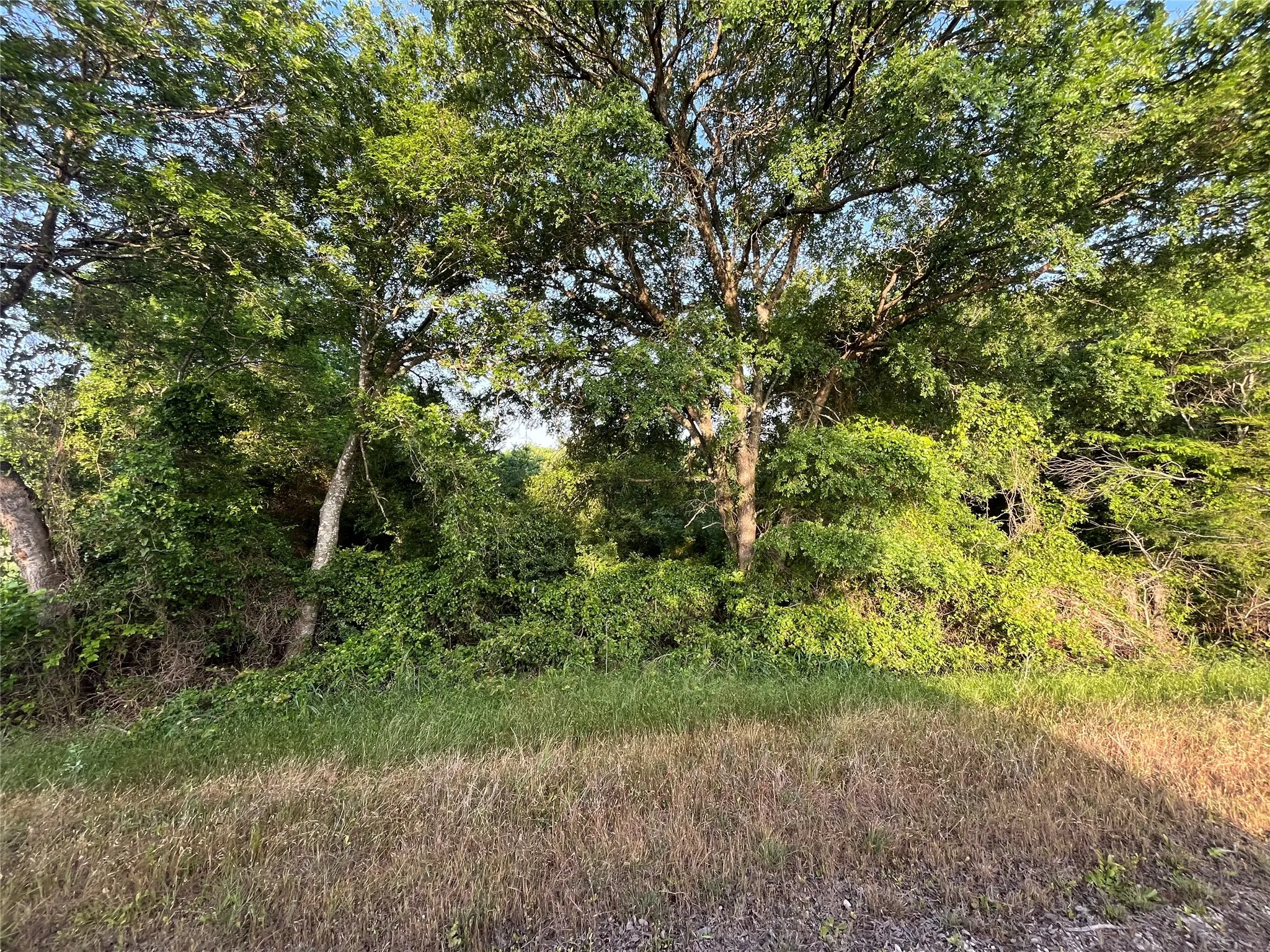 Ranch For Sale in Limestone County , 15.35 ACRES LCR 219, Coolidge, Texas 76635, 0, 0, Garage spaces, 0 Sqft, built in 0, mls#21240105, Real Estate Agent in Coolidge, Homes For Sale in Limestone county, Homes For Sale in Coolidge, Realtor in Coolidge Texas, Real Estate Brokerage Independent Realty Texas, Luminita Cordes Realtor