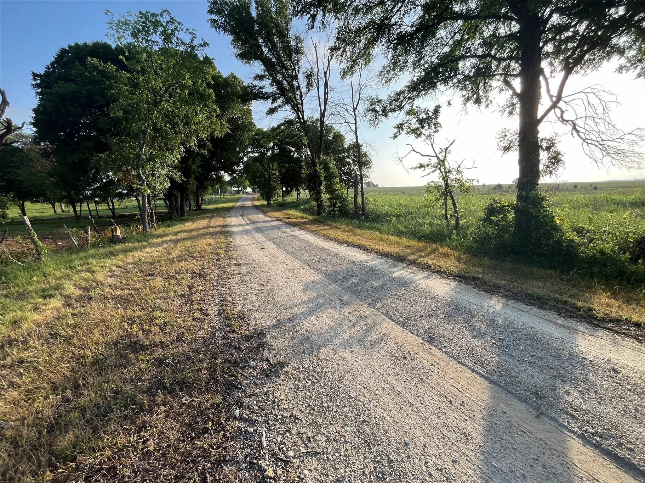 Ranch For Sale in Limestone County , 15.35 ACRES LCR 219, Coolidge, Texas 76635, 0, 0, Garage spaces, 0 Sqft, built in 0, mls#21240105, Real Estate Agent in Coolidge, Homes For Sale in Limestone county, Homes For Sale in Coolidge, Realtor in Coolidge Texas, Real Estate Brokerage Independent Realty Texas, Luminita Cordes Realtor