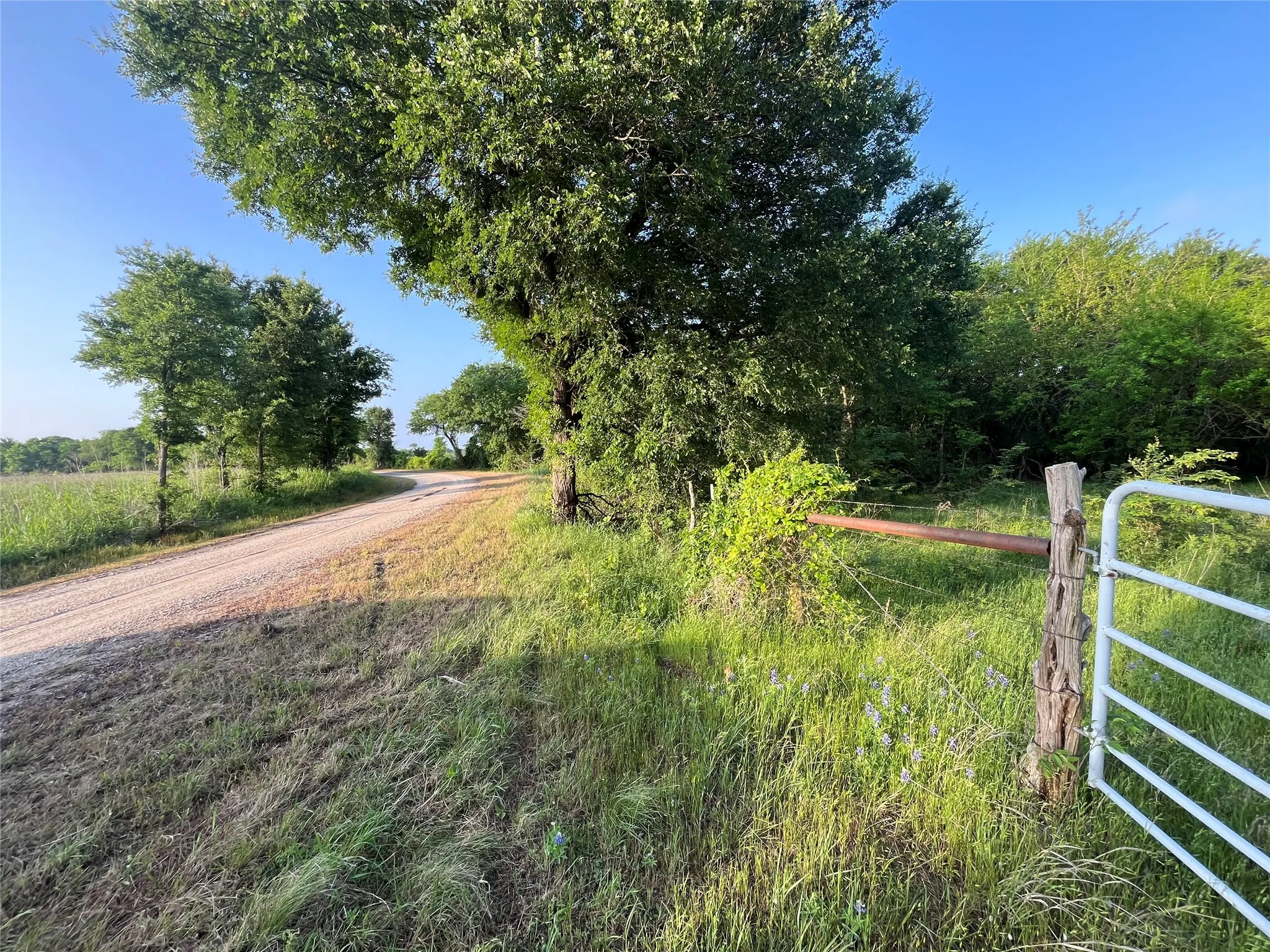 Ranch For Sale in Limestone County , 15.35 ACRES LCR 219, Coolidge, Texas 76635, 0, 0, Garage spaces, 0 Sqft, built in 0, mls#21240105, Real Estate Agent in Coolidge, Homes For Sale in Limestone county, Homes For Sale in Coolidge, Realtor in Coolidge Texas, Real Estate Brokerage Independent Realty Texas, Luminita Cordes Realtor