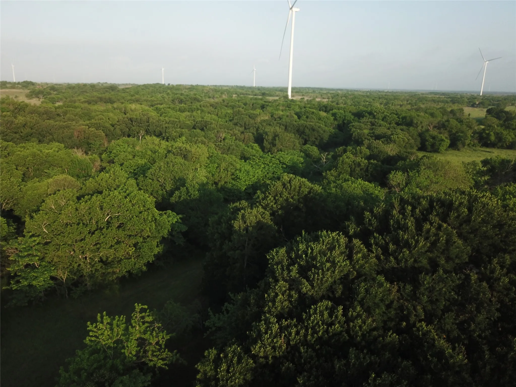 Ranch For Sale in Limestone County , 15.35 ACRES LCR 219, Coolidge, Texas 76635, 0, 0, Garage spaces, 0 Sqft, built in 0, mls#21240105, Real Estate Agent in Coolidge, Homes For Sale in Limestone county, Homes For Sale in Coolidge, Realtor in Coolidge Texas, Real Estate Brokerage Independent Realty Texas, Luminita Cordes Realtor