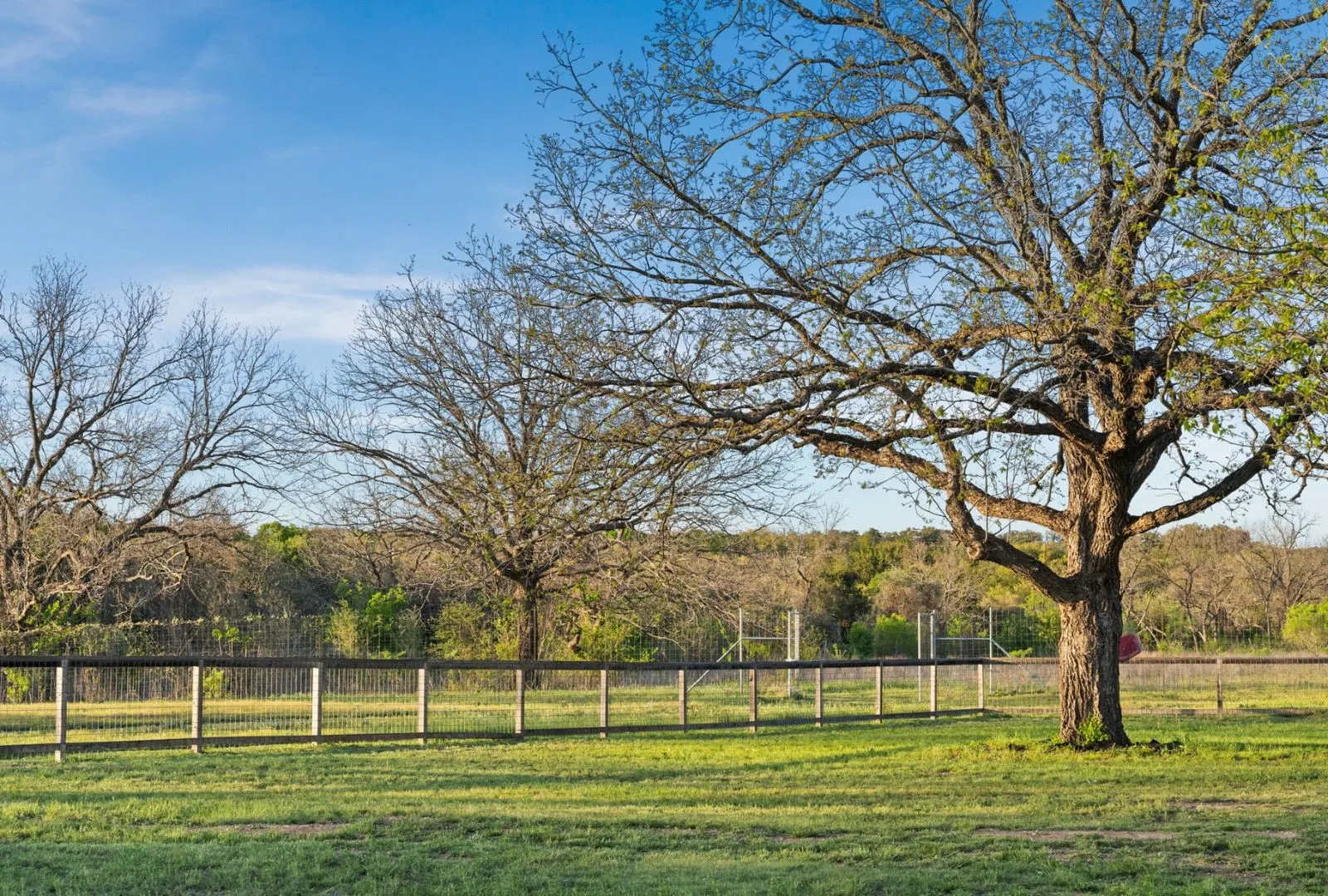 Improved Land For Sale in Travis County , 18405 Angel Valley Drive, Leander, Texas 78641, 0, 0, Garage spaces, 0 Sqft, built in 1998, mls#21241968, Real Estate Agent in Leander, Homes For Sale in Travis county, Homes For Sale in Leander, Realtor in Leander Texas, Real Estate Brokerage Independent Realty Texas, Luminita Cordes Realtor