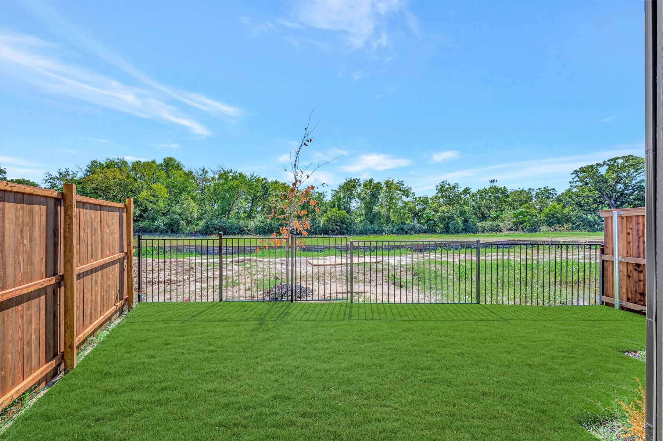 Green lawn area bordered by a wood privacy fence and black metal fencing