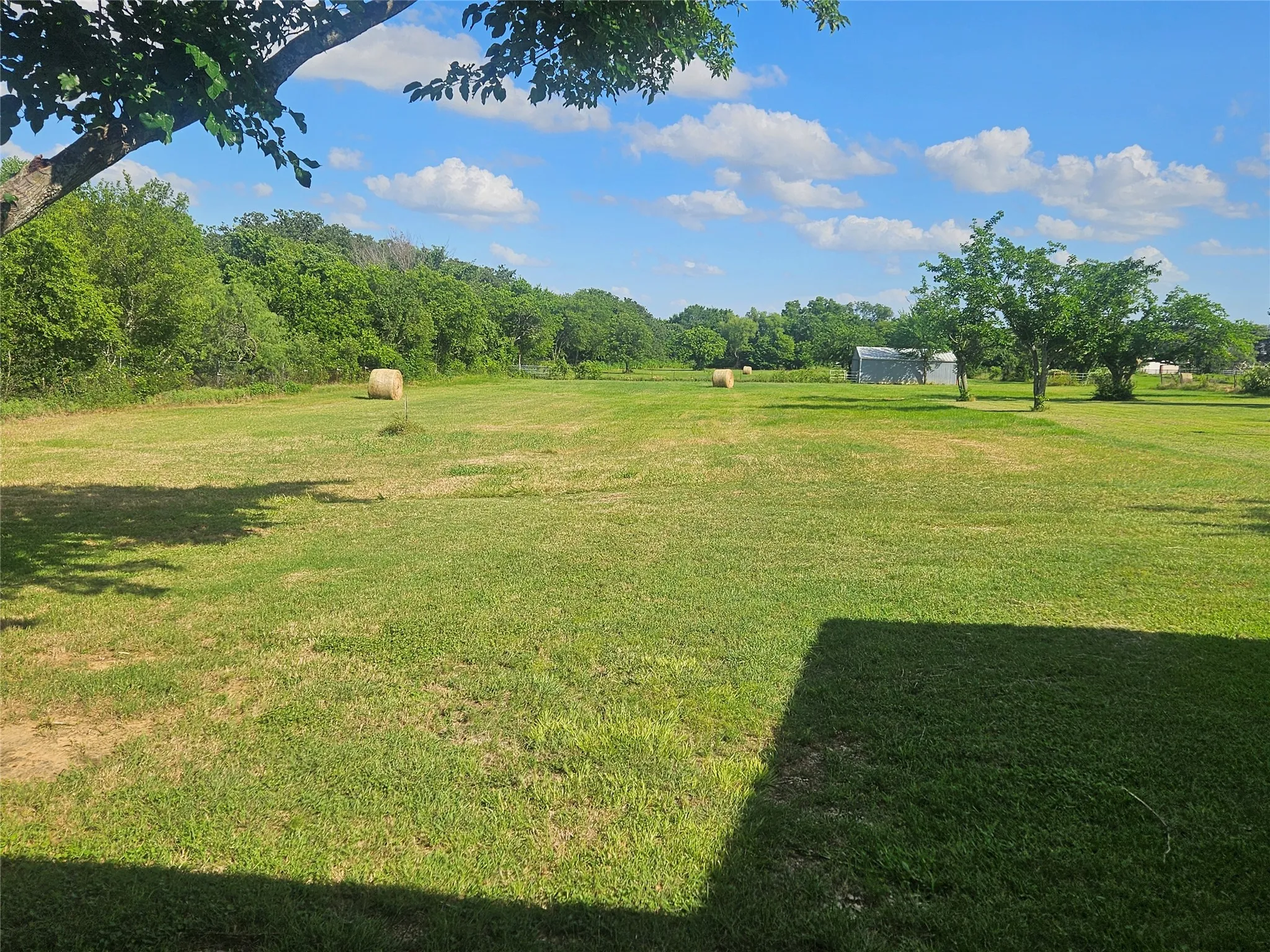 Property line goes to the back fence & tree line, there's a pond/tank in the left corner which the seller says never goes dry