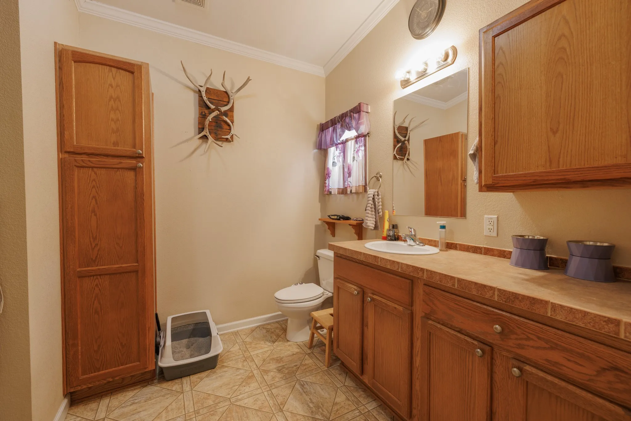 Mobile Home For Sale in Jones County , 8378 County Road 358, Anson, Texas 79501, 3 Bedroom, 2 Bathroom, 5 Garage spaces, 1,560 Sqft, built in 2008, Preowned, mls#21222960, Real Estate Agent in Anson, Homes For Sale in Jones county, Homes For Sale in Anson, Realtor in Anson Texas, Real Estate Brokerage Independent Realty Texas, Luminita Cordes Realtor