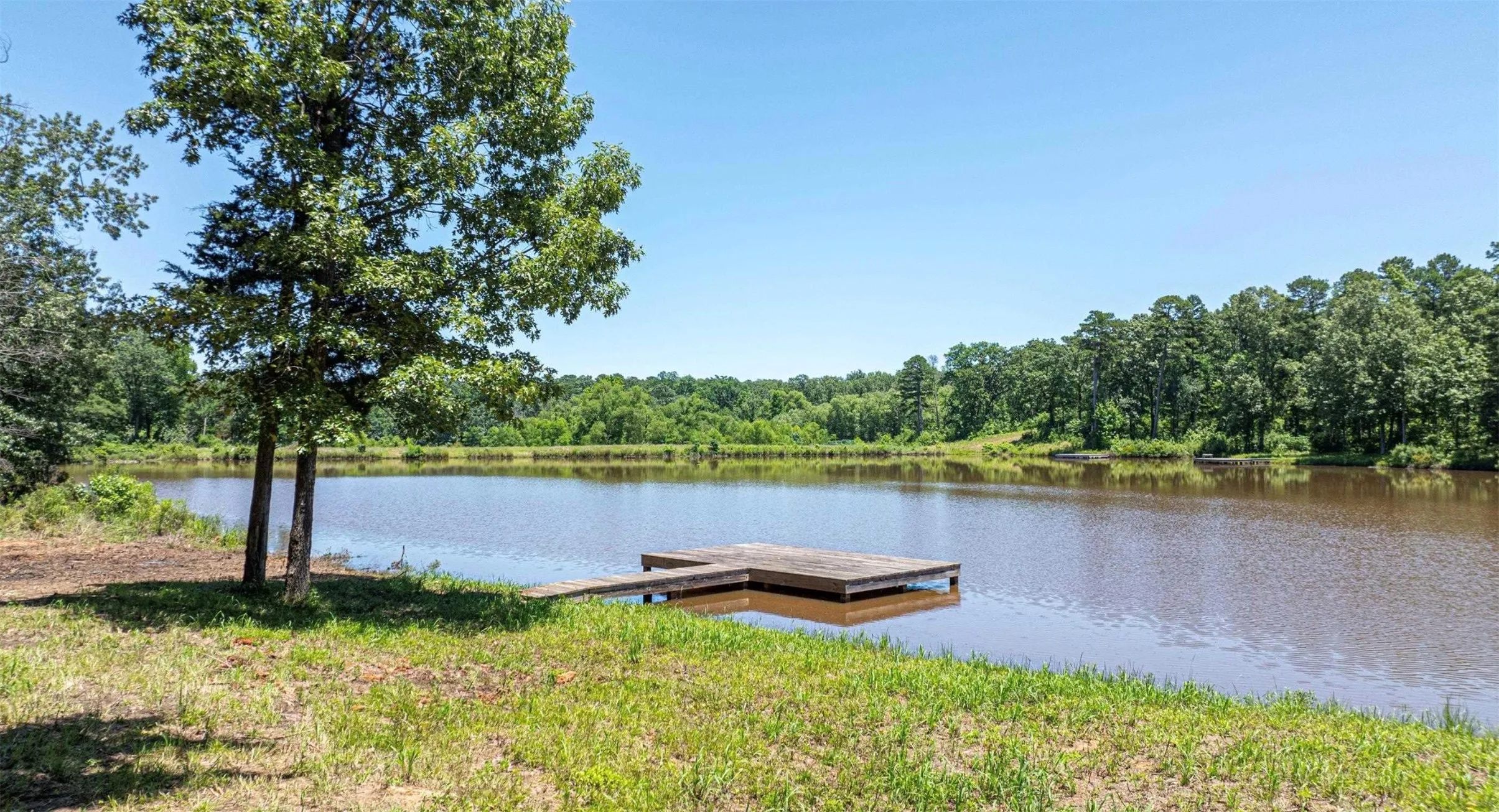 Unimproved Land For Sale in Camp County , TBD PR 52415, Leesburg, Texas 75451, 0, 0, Garage spaces, 0 Sqft, built in 0, Price $59,000, mls#21242187, Real Estate Agent in Leesburg, Homes For Sale in Camp county, Homes For Sale in Leesburg, Realtor in Leesburg Texas, Real Estate Brokerage Independent Realty Texas, Luminita Cordes Realtor