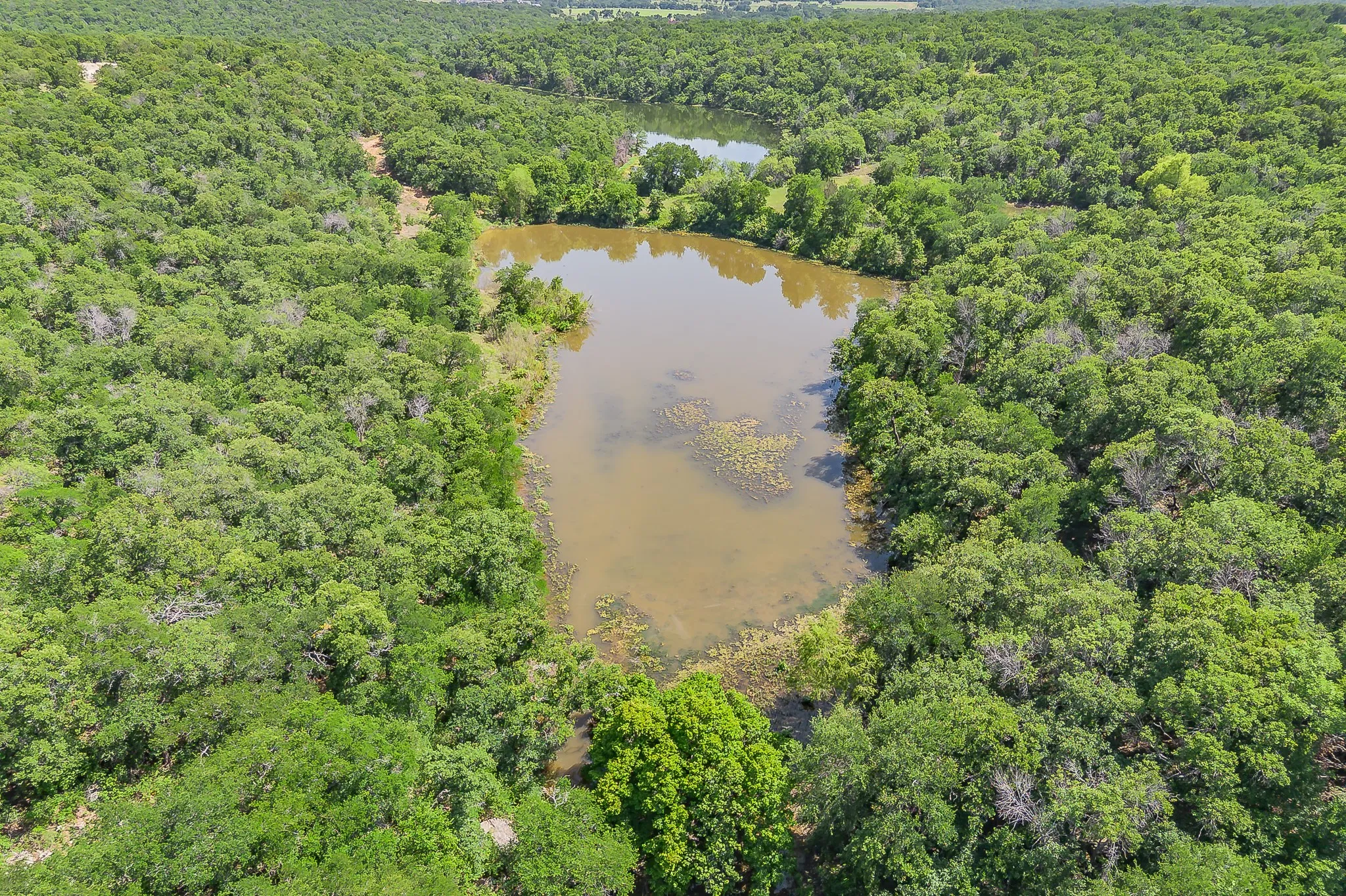 Unimproved Land For Sale in Parker County , 8955 Wolf Hollow, Millsap, Texas 76066, 0, 0, Garage spaces, 0 Sqft, built in 0, mls#21241995, Real Estate Agent in Millsap, Homes For Sale in Parker county, Homes For Sale in Millsap, Realtor in Millsap Texas, Real Estate Brokerage Independent Realty Texas, Luminita Cordes Realtor